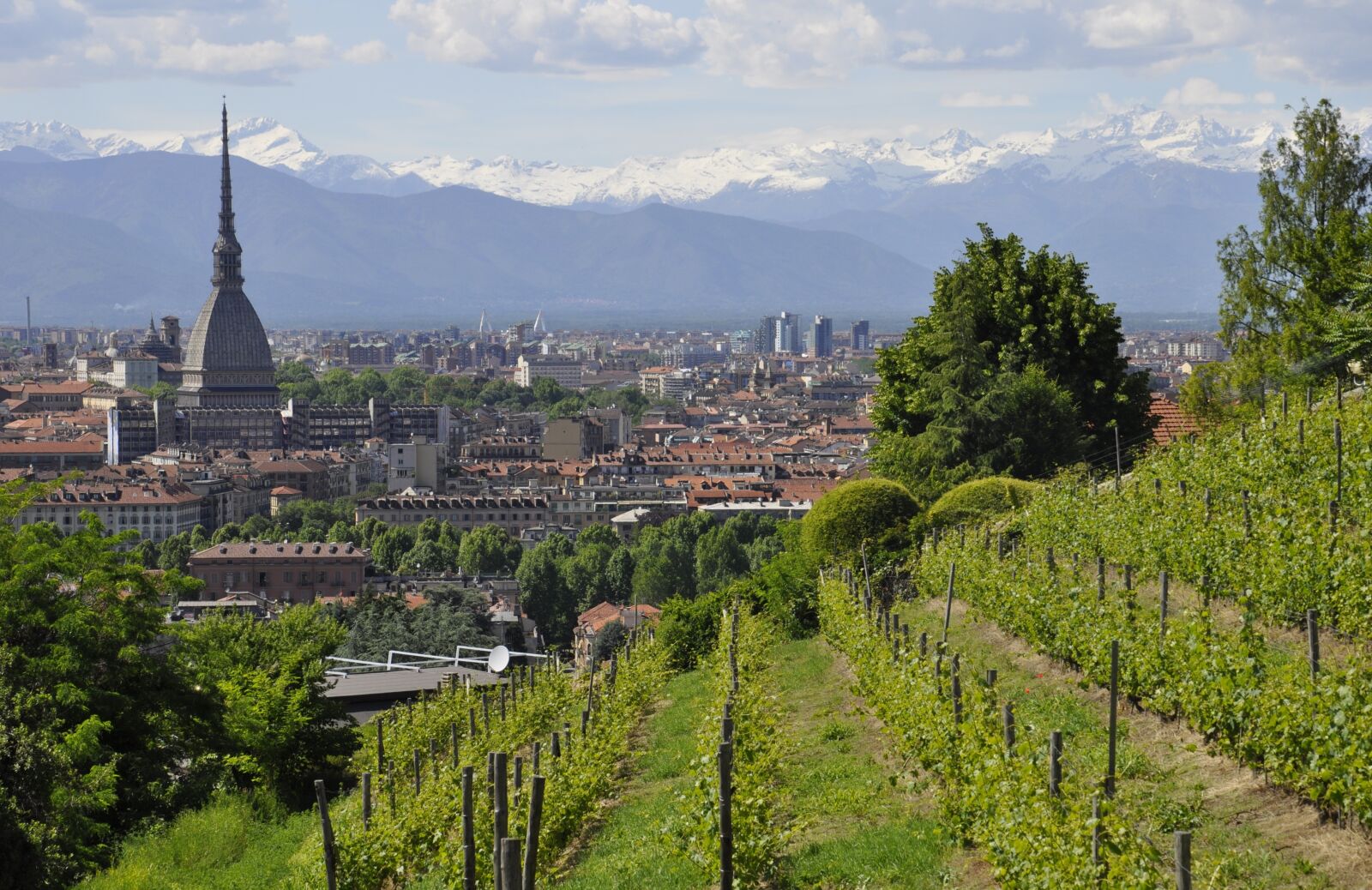 Nikon D5000 sample photo. Torino, mole, landscape photography