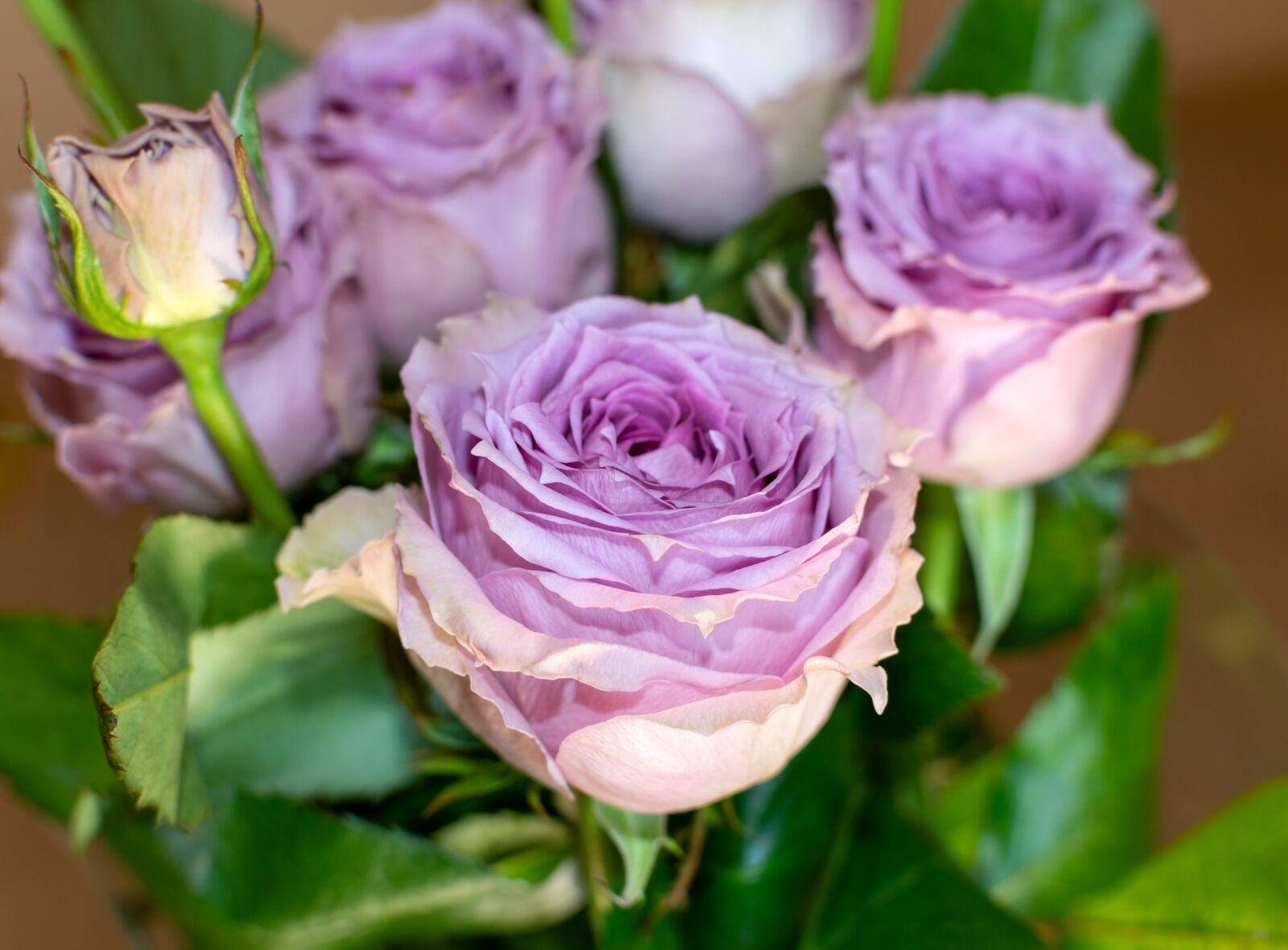 Nikon D3200 sample photo. Roses, bouquet, flowers photography