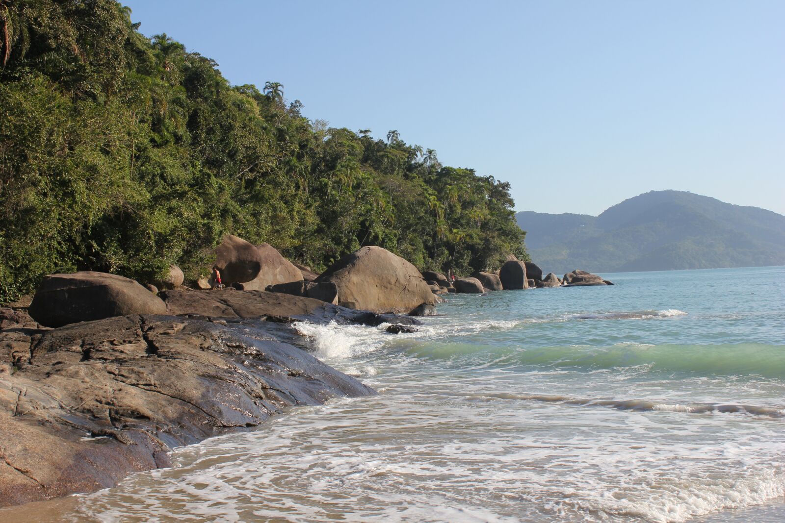 Canon EOS 550D (EOS Rebel T2i / EOS Kiss X4) sample photo. Beach, brazilwood, holiday photography