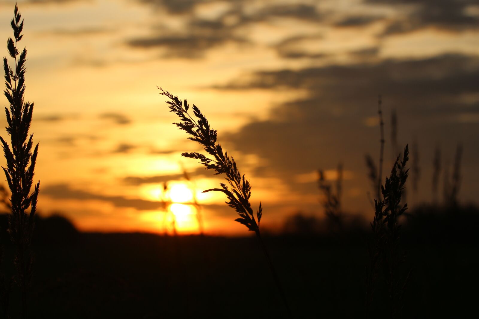 Canon EOS 100D (EOS Rebel SL1 / EOS Kiss X7) sample photo. Sun, sunset, evening sky photography