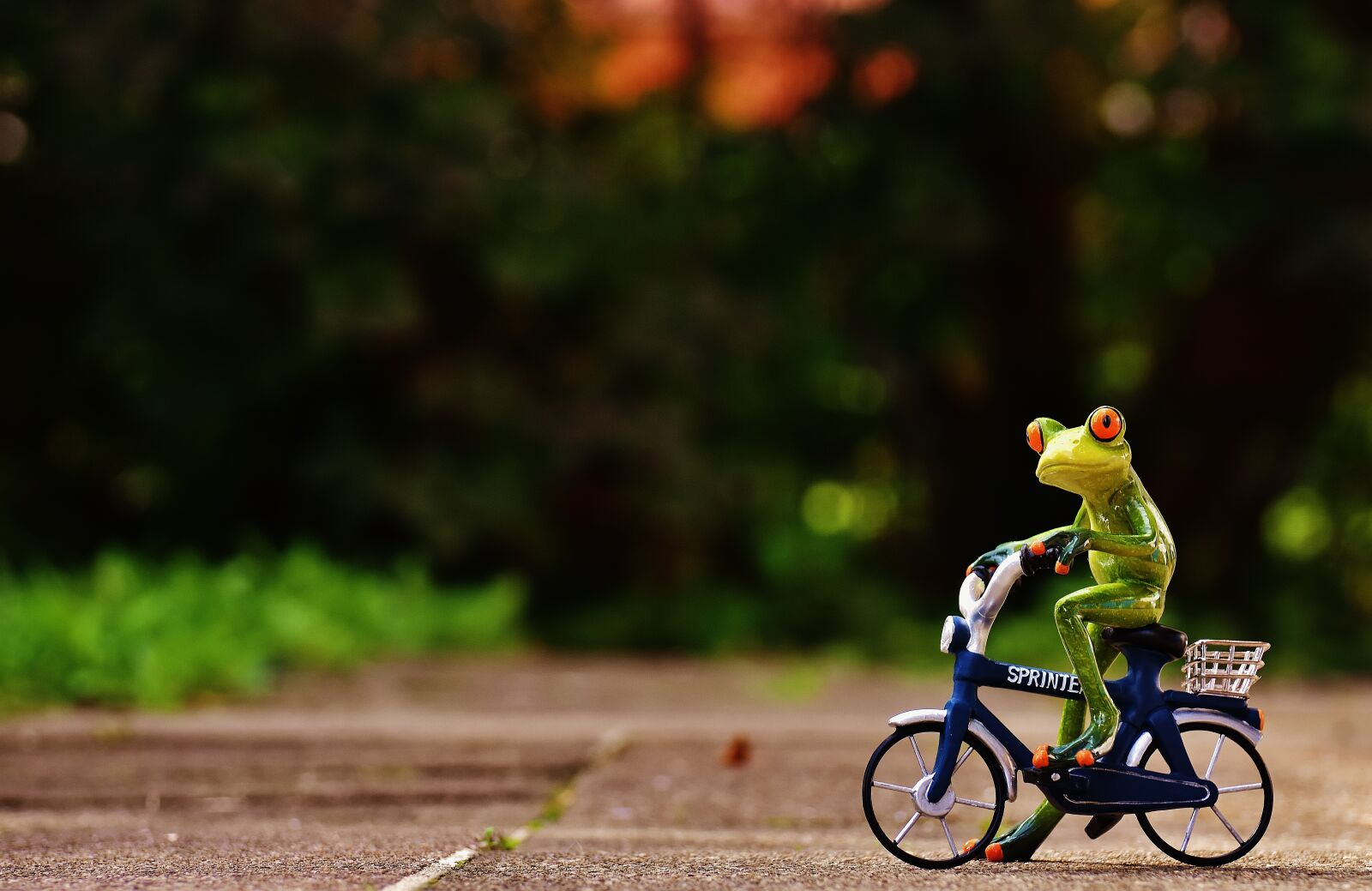 Nikon D7200 sample photo. Frog, bike, funny photography