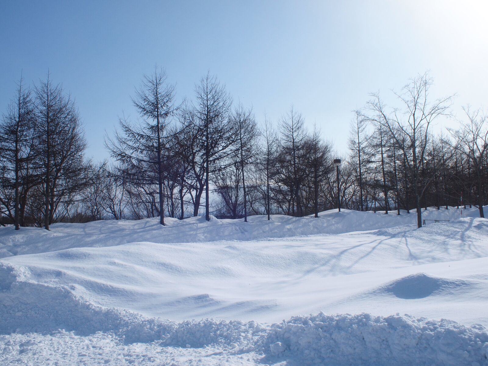 Olympus PEN E-P1 sample photo. Hokkaido, snow, landscape photography