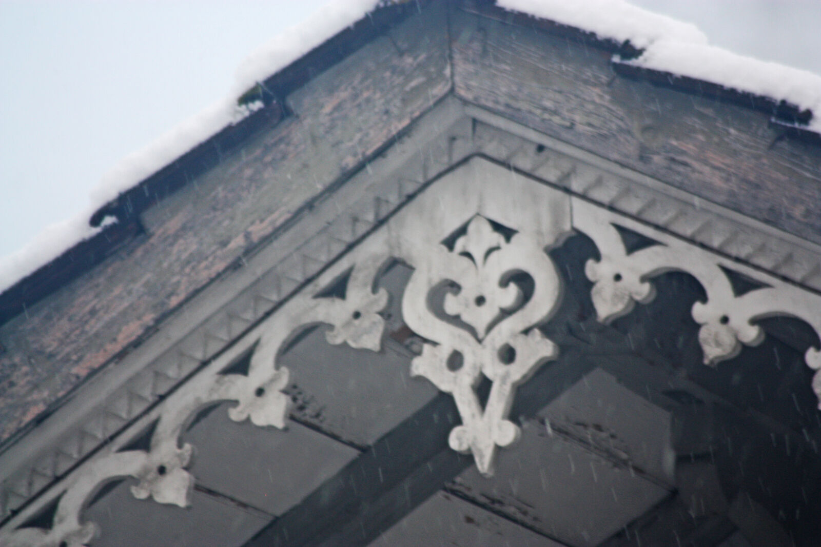 Canon EOS 450D (EOS Rebel XSi / EOS Kiss X2) sample photo. Carved, wood, cold, curly photography