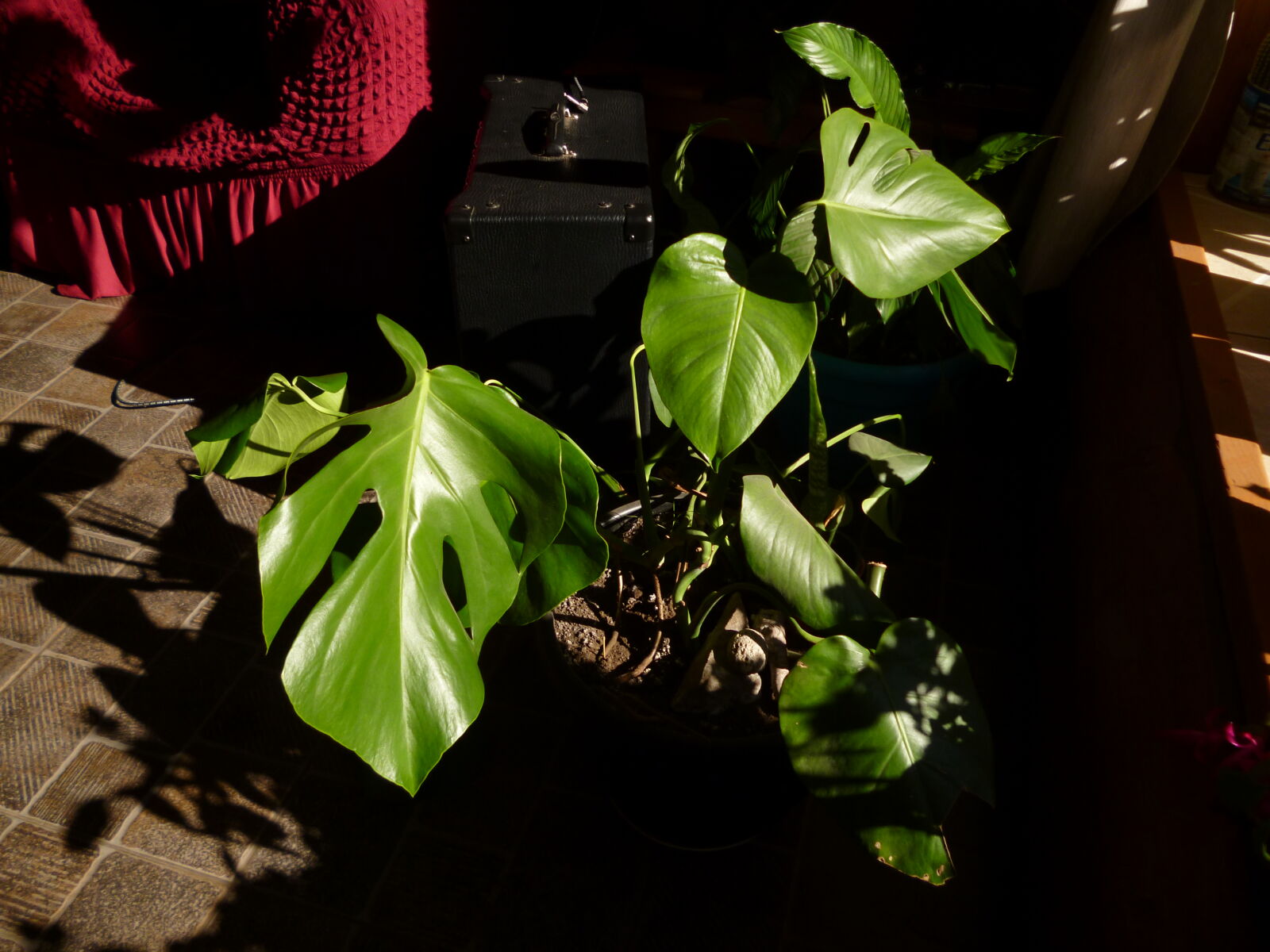 Panasonic DMC-FH2 sample photo