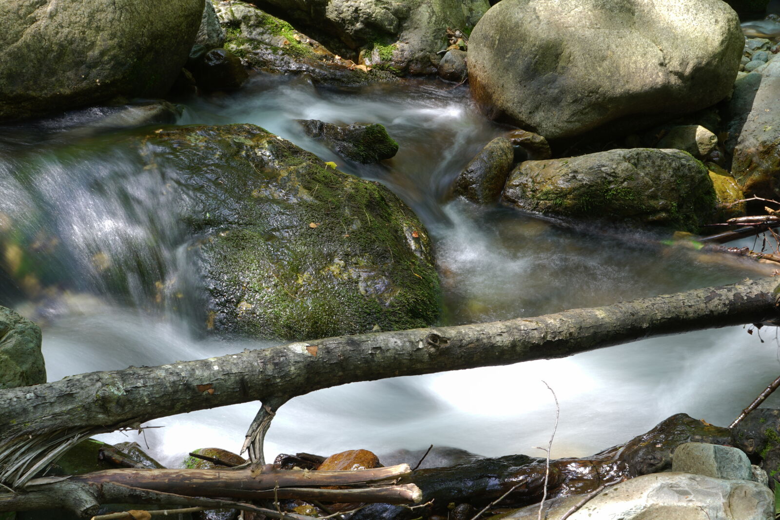 Sony FE 28-70mm F3.5-5.6 OSS sample photo. Nature photography