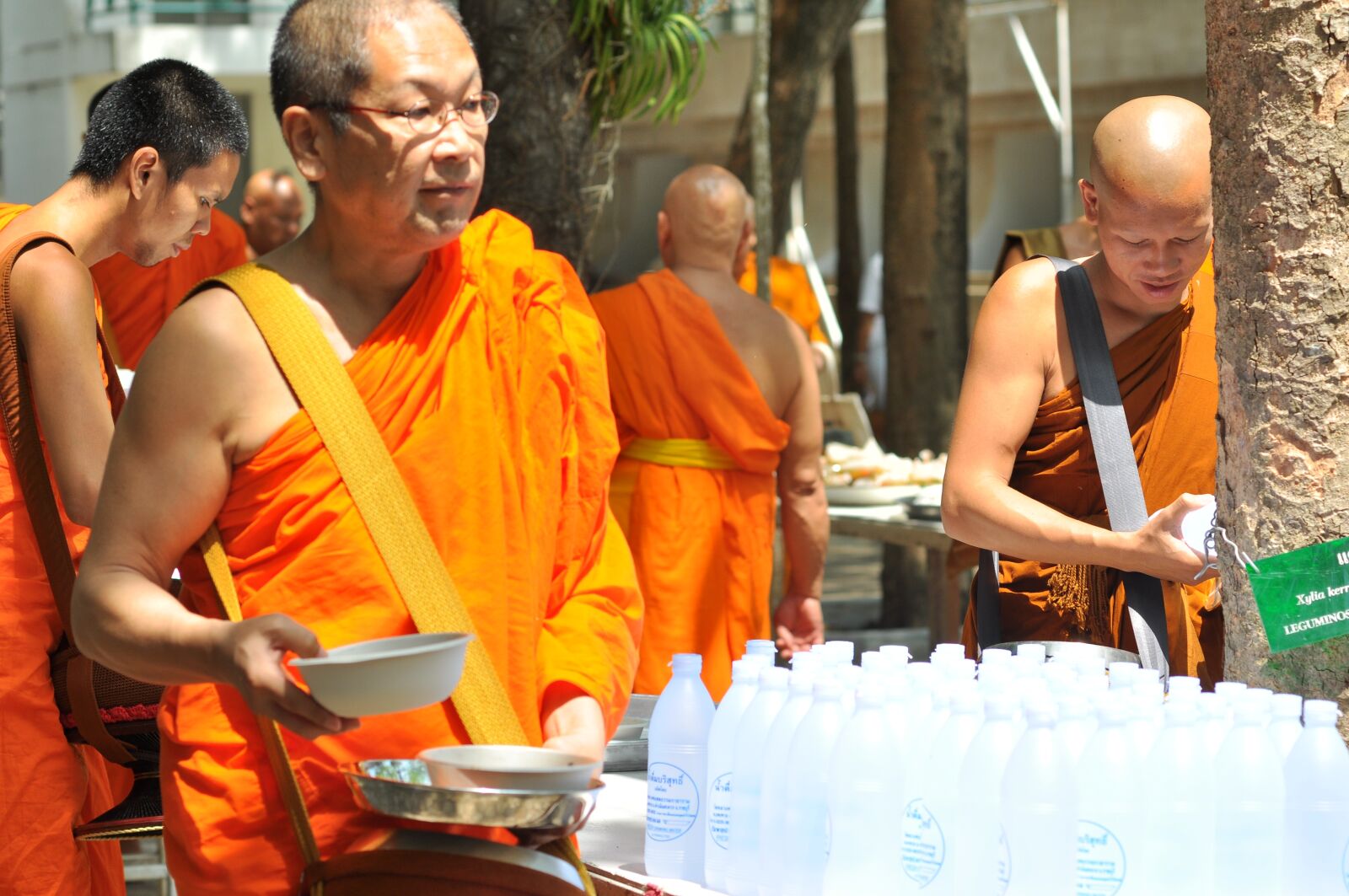 Nikon D90 sample photo. Buddhism, the english, buddhists photography