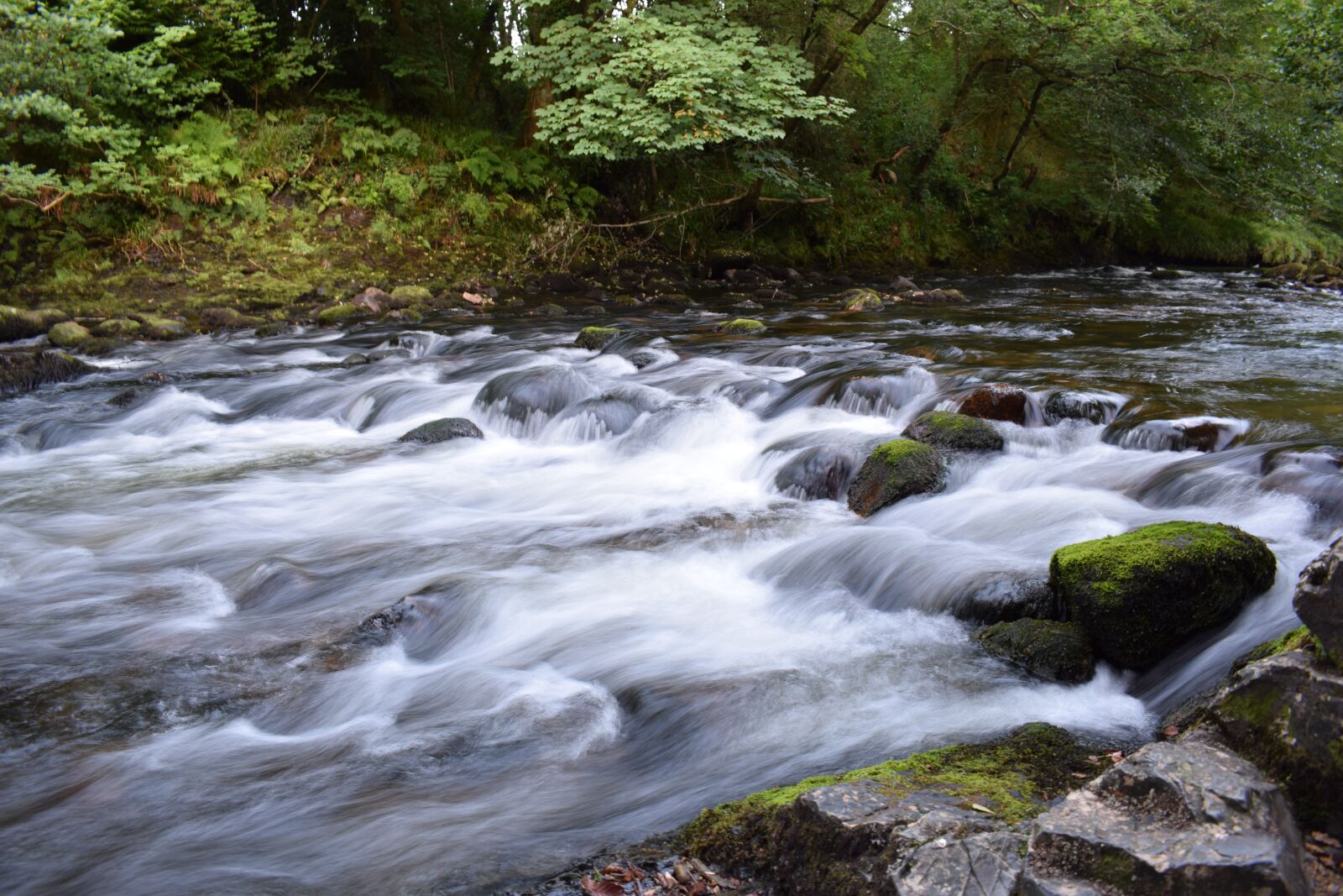 Nikon D3300 sample photo. Bach, water, nature photography