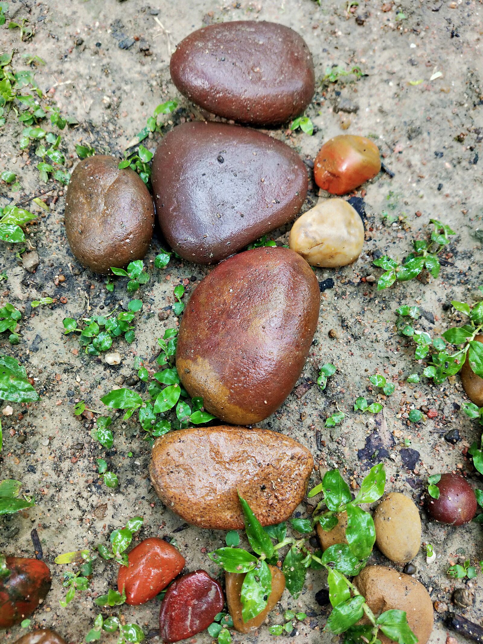 OPPO Realme 2 Pro sample photo. Nature, rock, natural photography