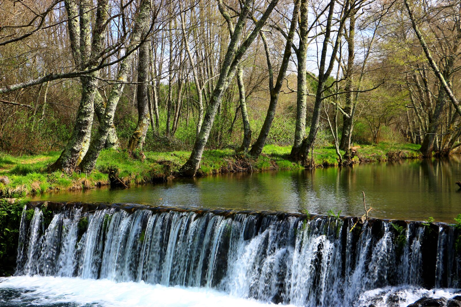 Canon EOS 70D sample photo. Oleiros, cascade, nature photography