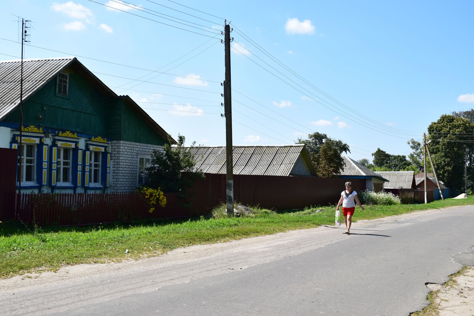 Nikon D3300 sample photo. Russia, village, beauty photography
