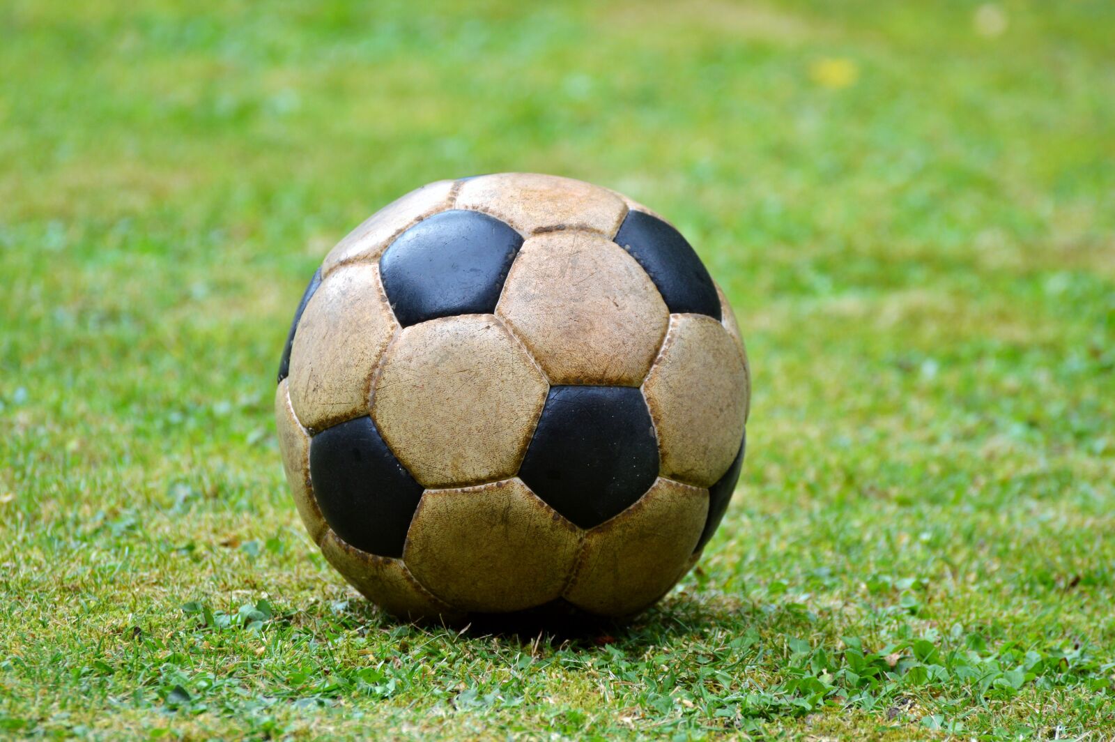 Nikon D3200 sample photo. Football, leather ball, ball photography
