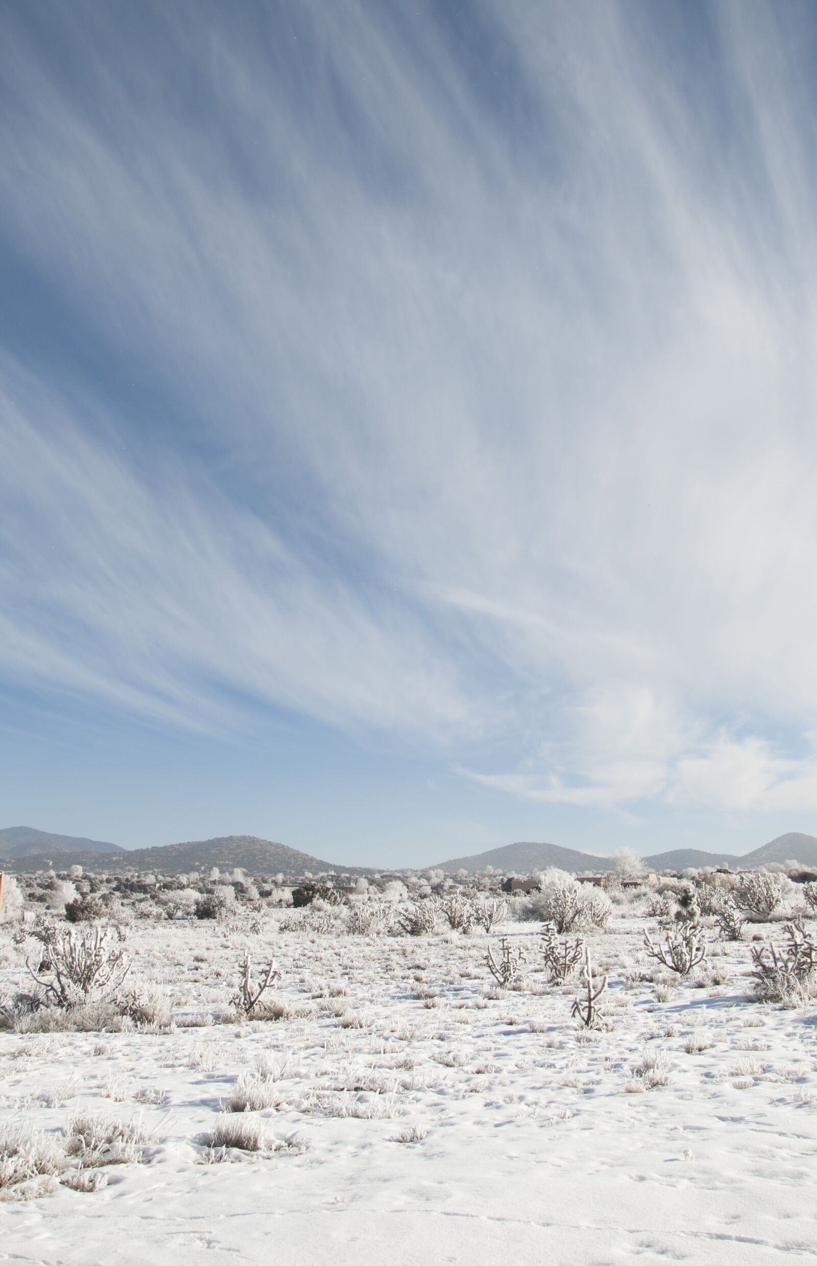 Nikon D90 sample photo. Nature, winter, snow photography