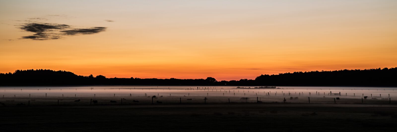 Canon EF 24-105mm F4L IS USM sample photo. Panorama, sunset, forest photography