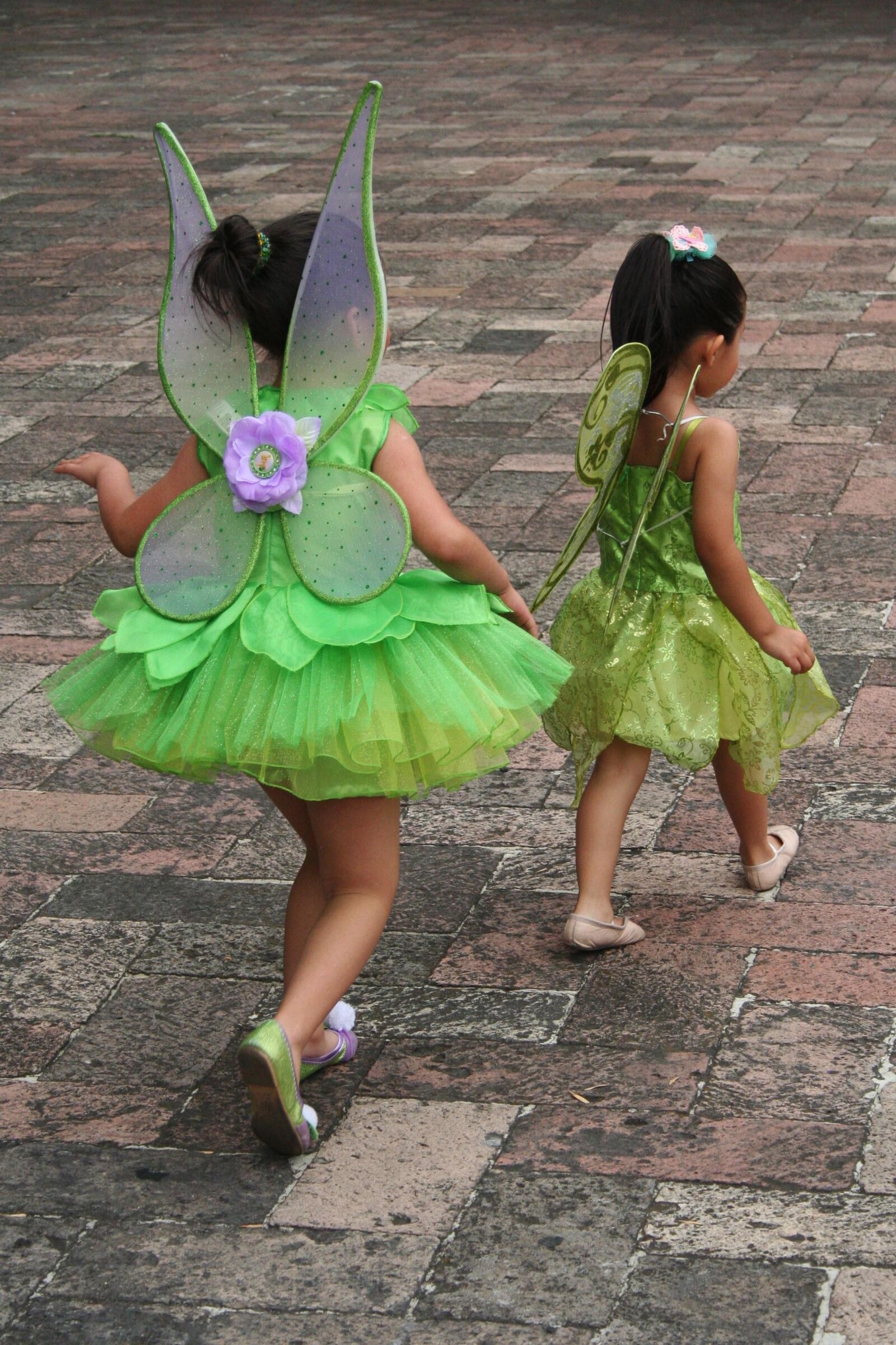 Canon EOS 350D (EOS Digital Rebel XT / EOS Kiss Digital N) sample photo. Girl, fairy, couple photography