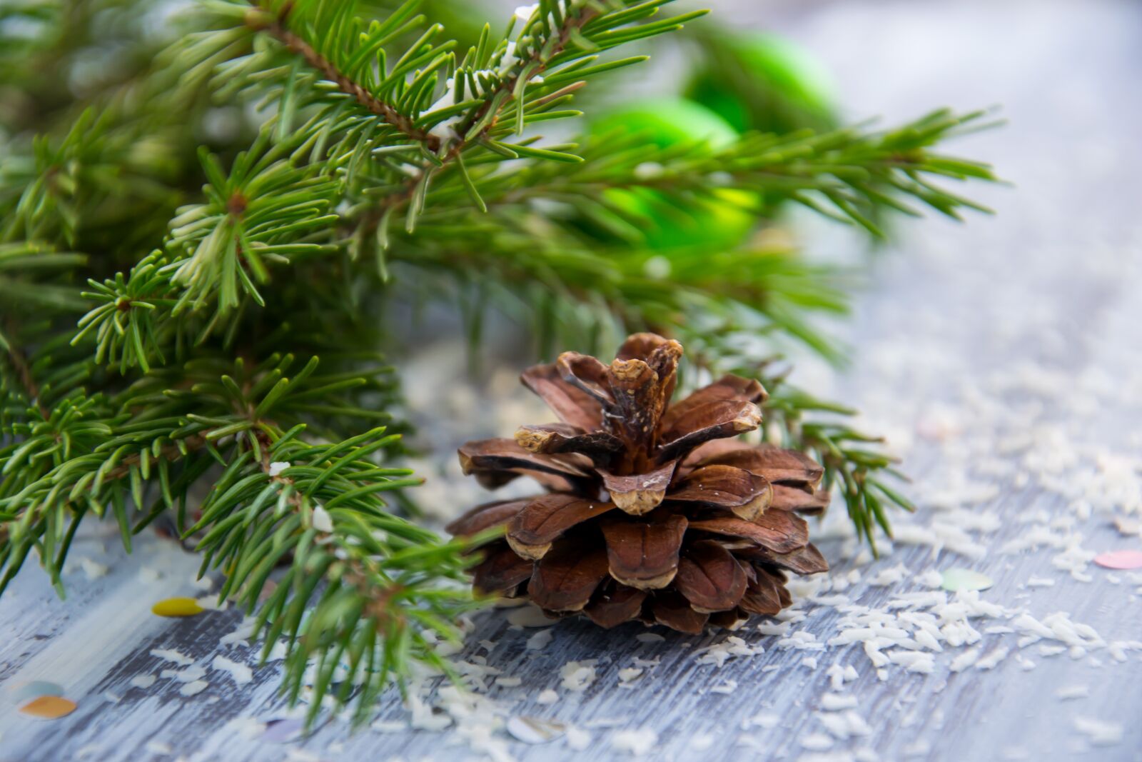 Nikon D3100 sample photo. Christmas background, spruce branch photography