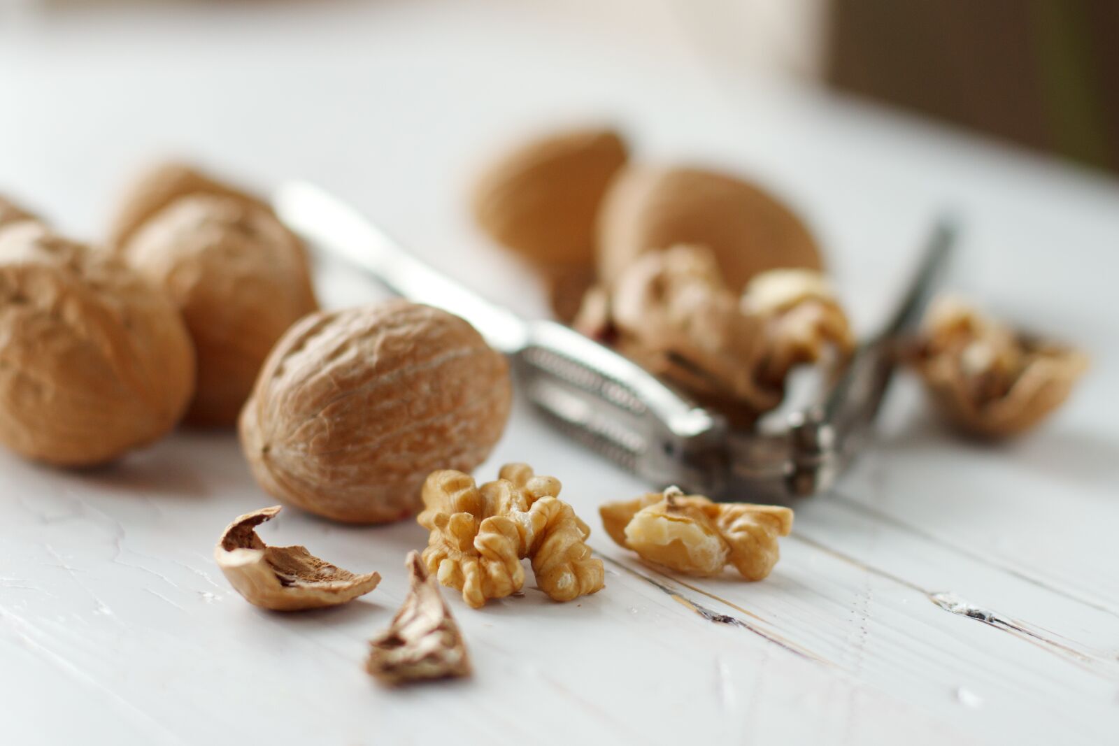 Canon EOS 500D (EOS Rebel T1i / EOS Kiss X3) sample photo. Walnuts, califonia, raw photography