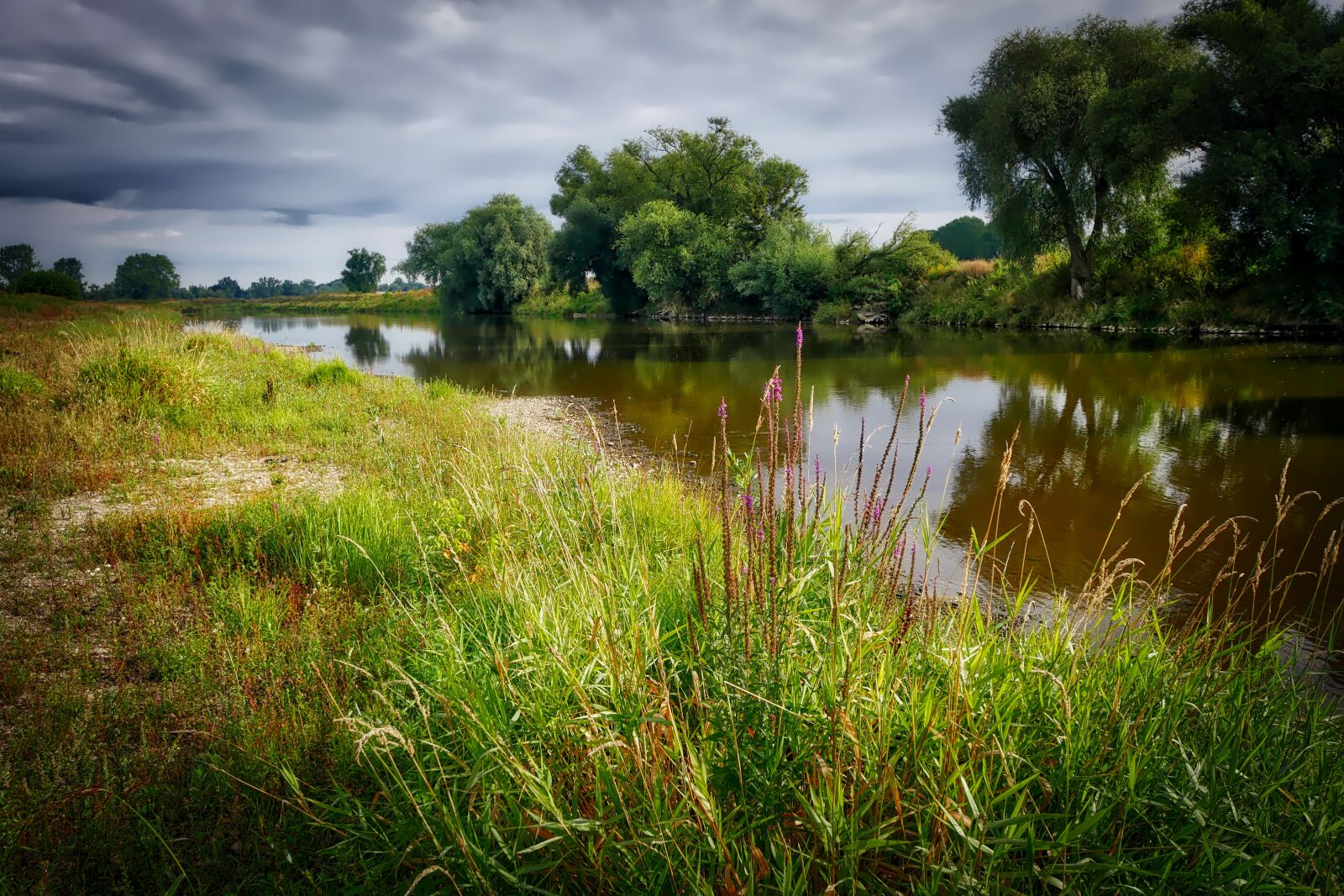 Panasonic Lumix DMC-GX8 sample photo. River, bank, grass photography