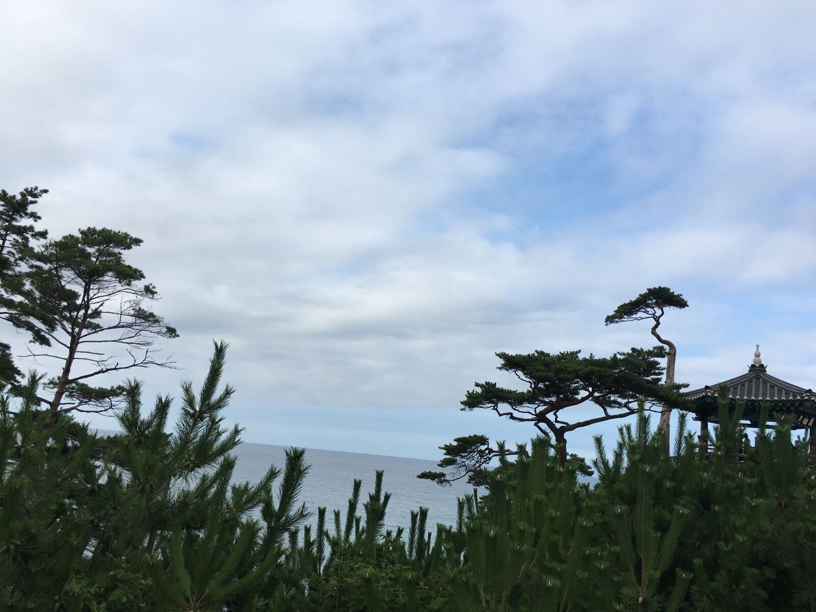 iPhone 6s back camera 4.15mm f/2.2 sample photo. Gangneung, blue sky, break photography