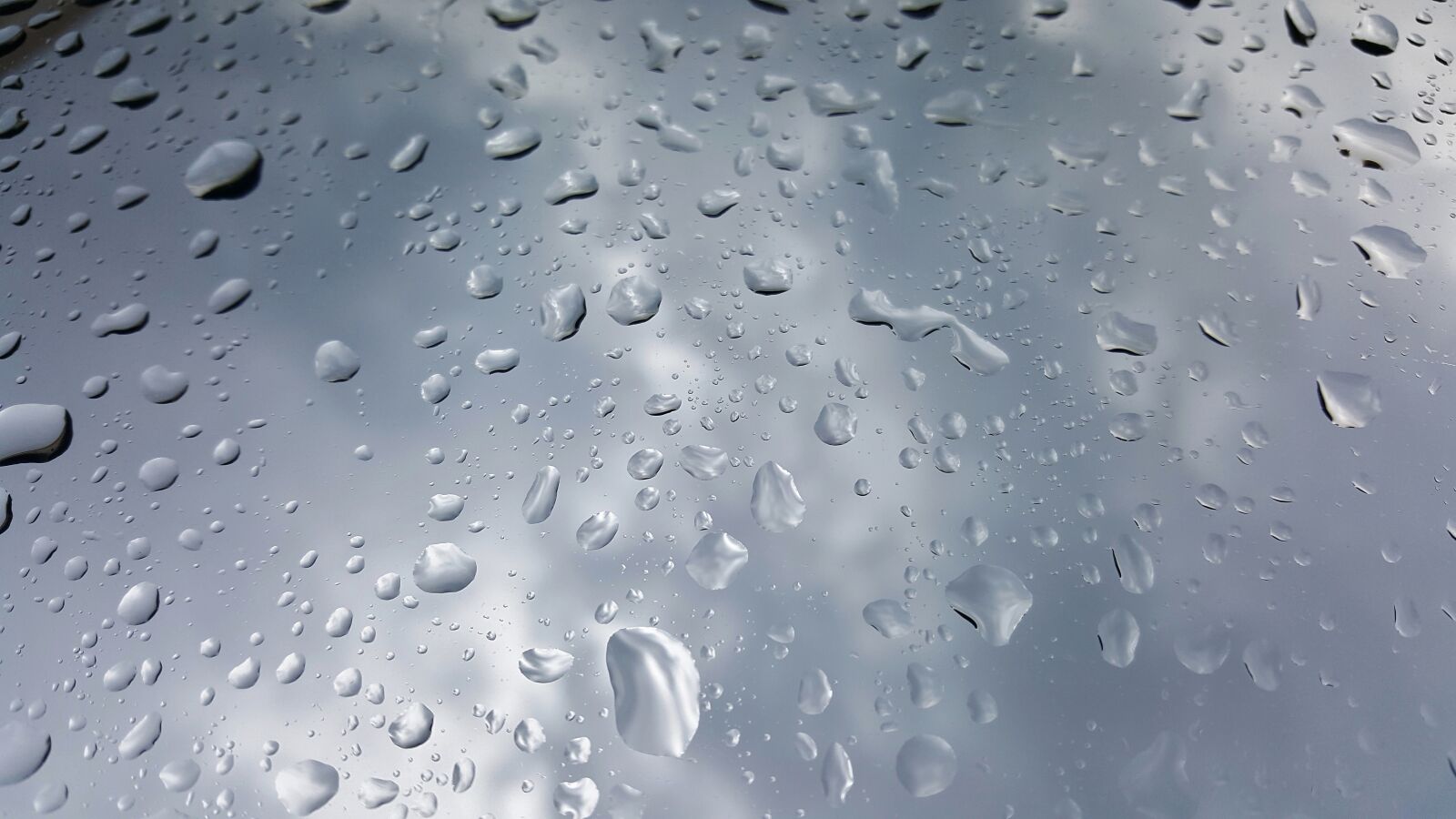 Samsung Galaxy Note5 sample photo. Water, wet, droplets photography