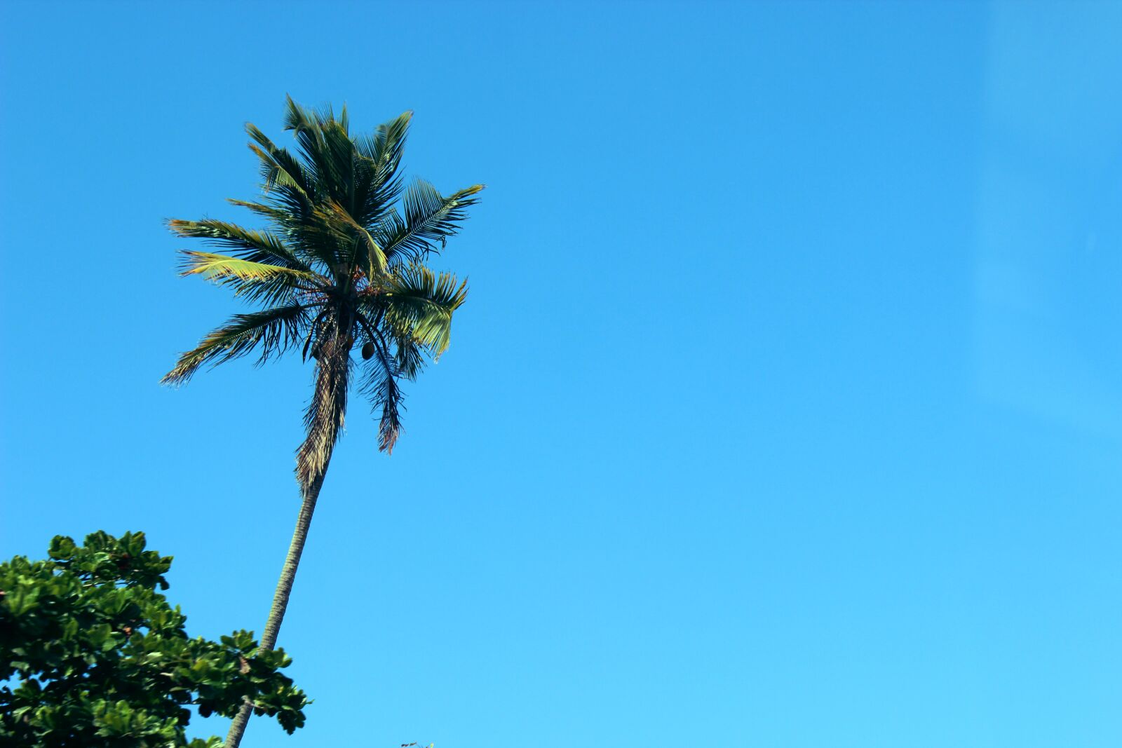 Canon EOS 600D (Rebel EOS T3i / EOS Kiss X5) sample photo. Blue, sky, sunshine photography