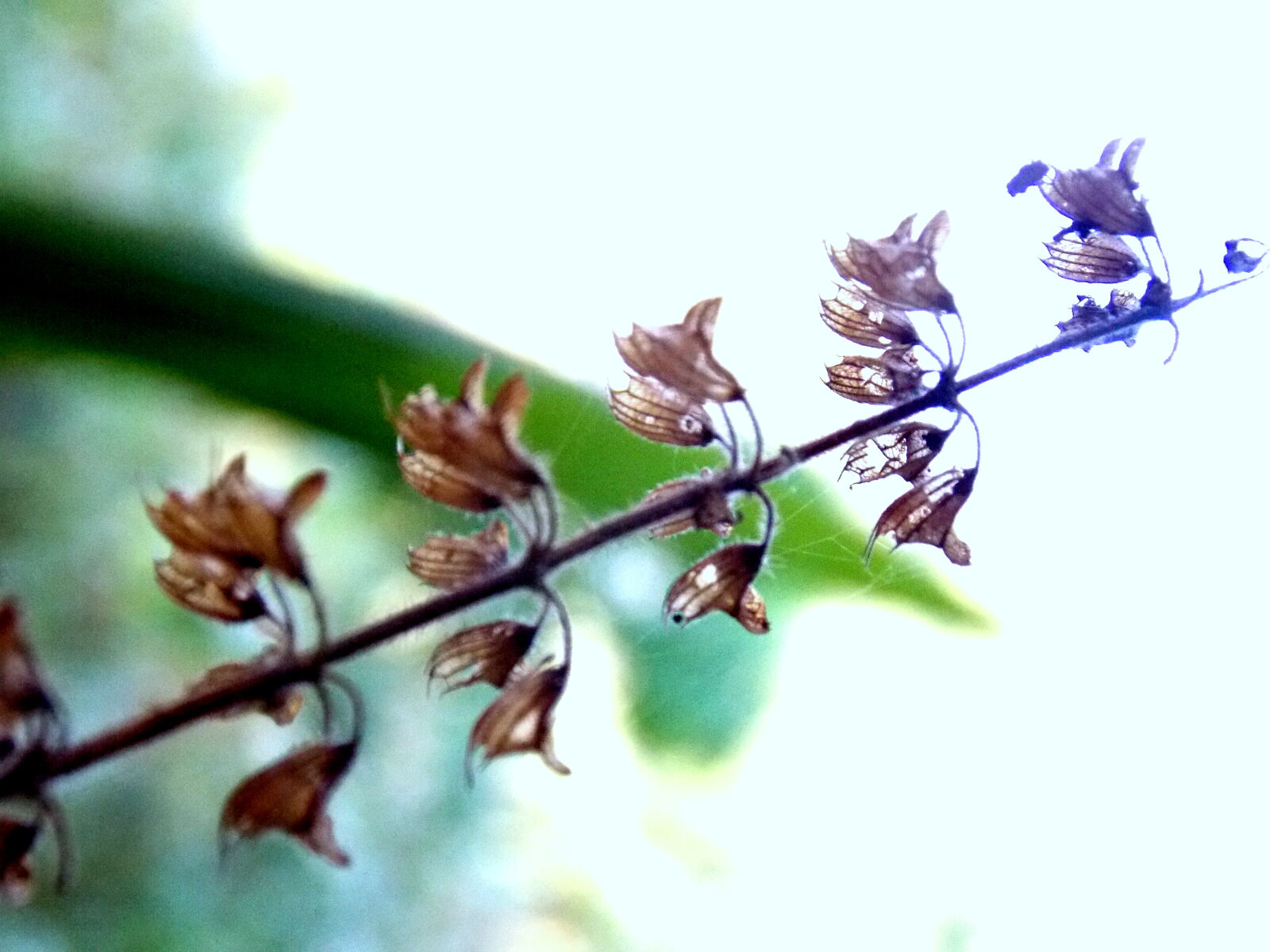 Nikon Coolpix L810 sample photo. Start, of, new, end photography