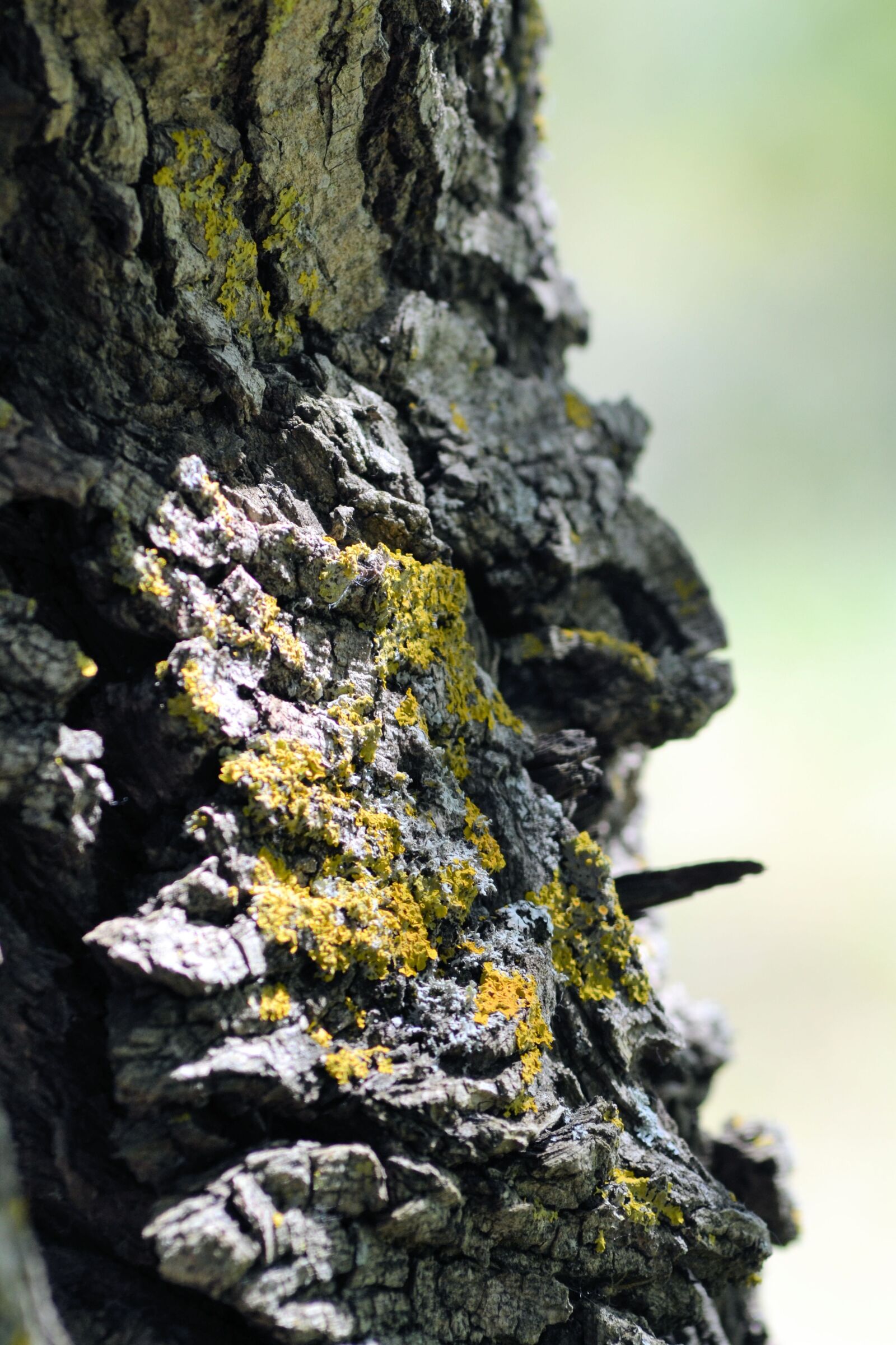 Nikon D3100 sample photo. France, provence, greoux-les-bains photography