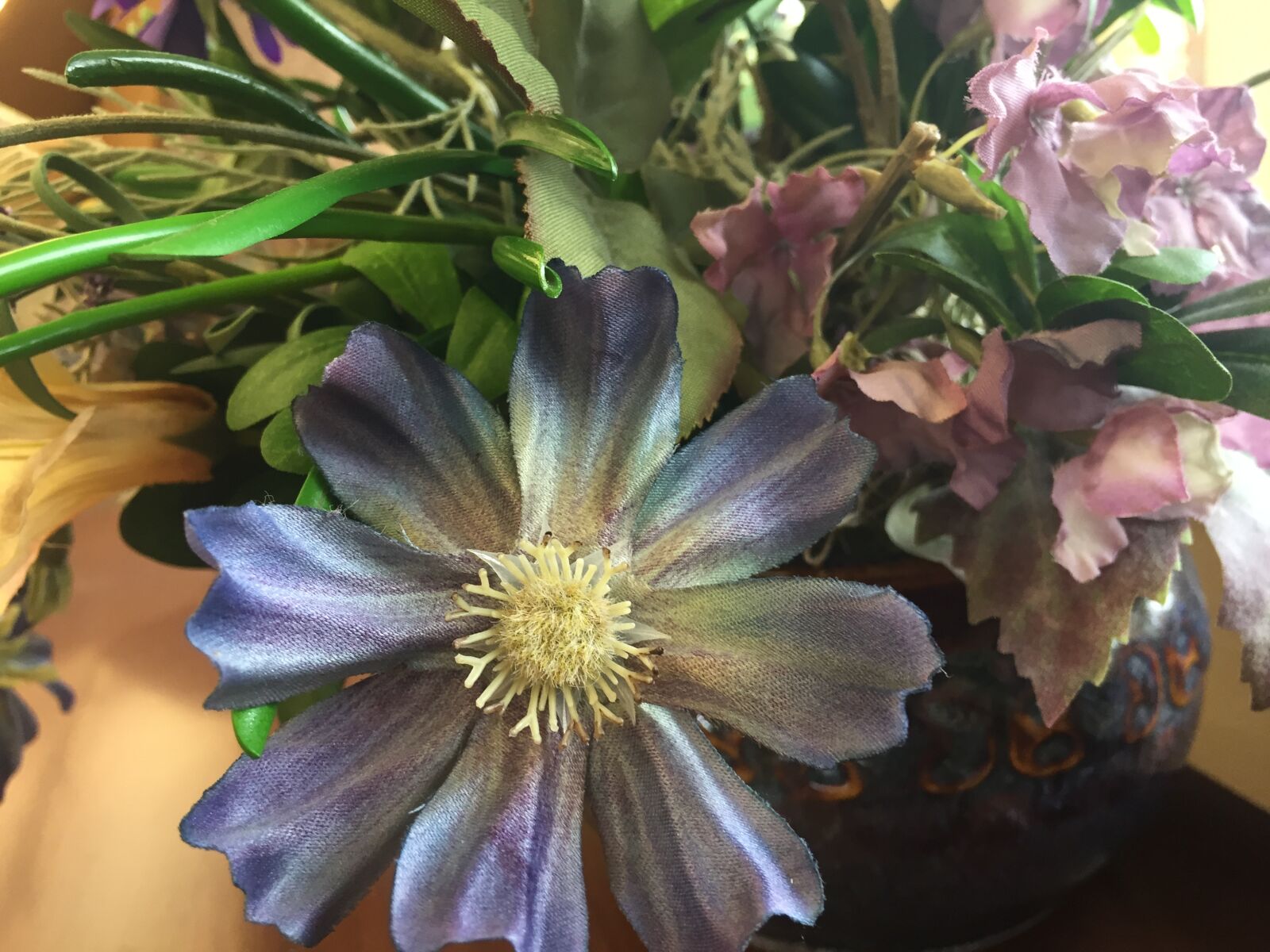 iPhone 6 back camera 4.15mm f/2.2 sample photo
