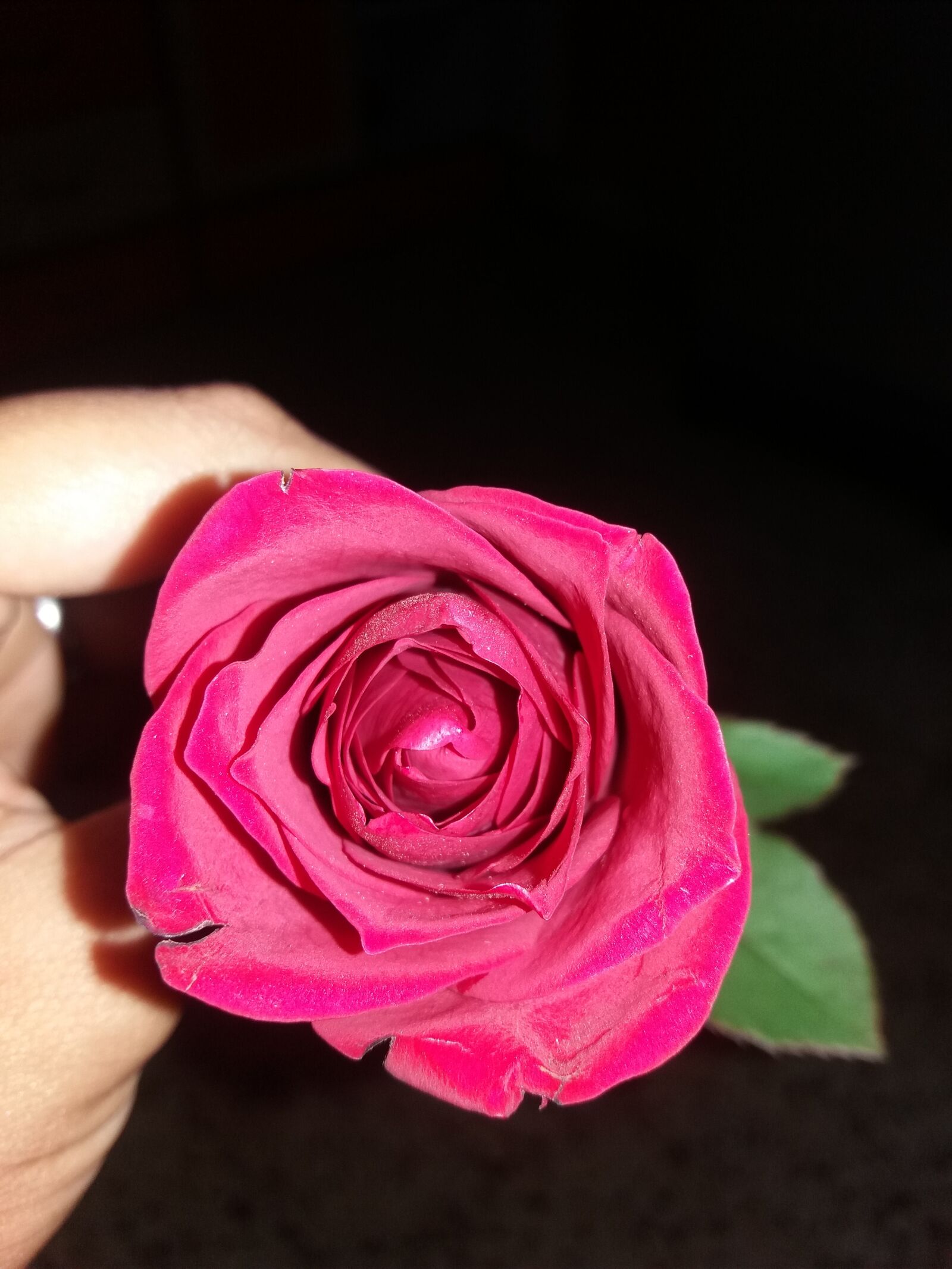 Samsung Galaxy J5 sample photo