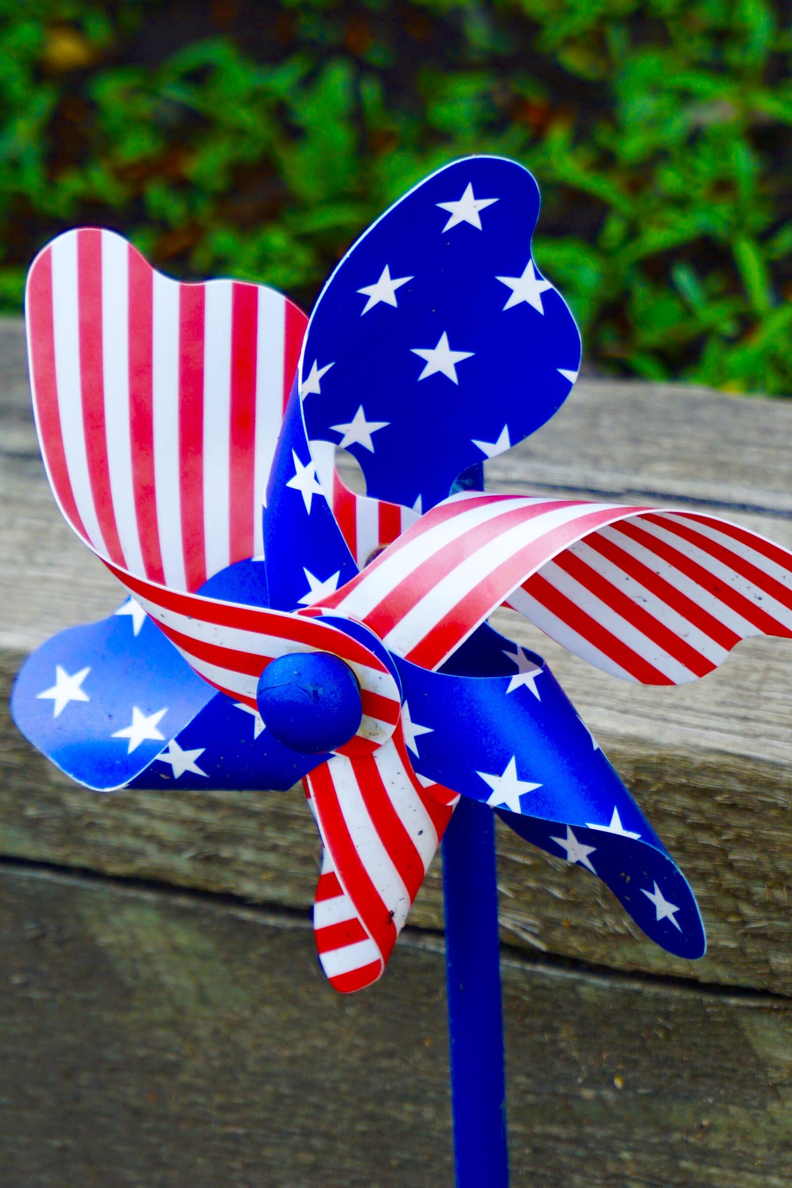 Sony a5100 sample photo. Pinwheel, spinner, rotator photography