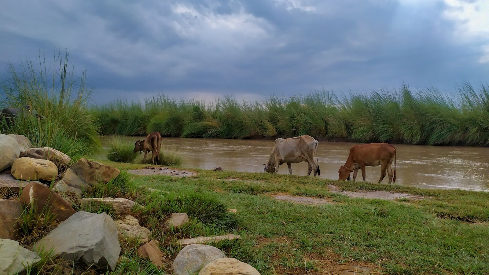 Xiaomi Redmi Note 7 sample photo. Nature, canal, river photography