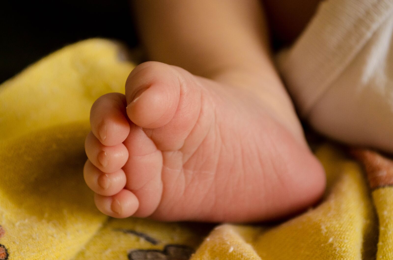 Nikon D5100 sample photo. The rate of, child photography