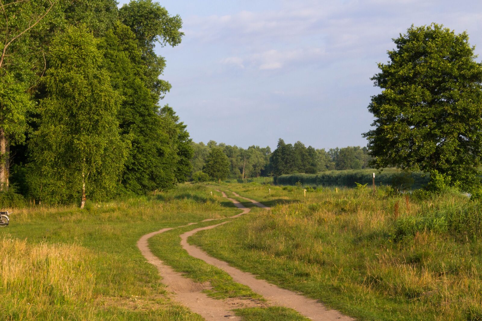 Canon EOS 100D (EOS Rebel SL1 / EOS Kiss X7) sample photo. Meadow, tree, summer photography