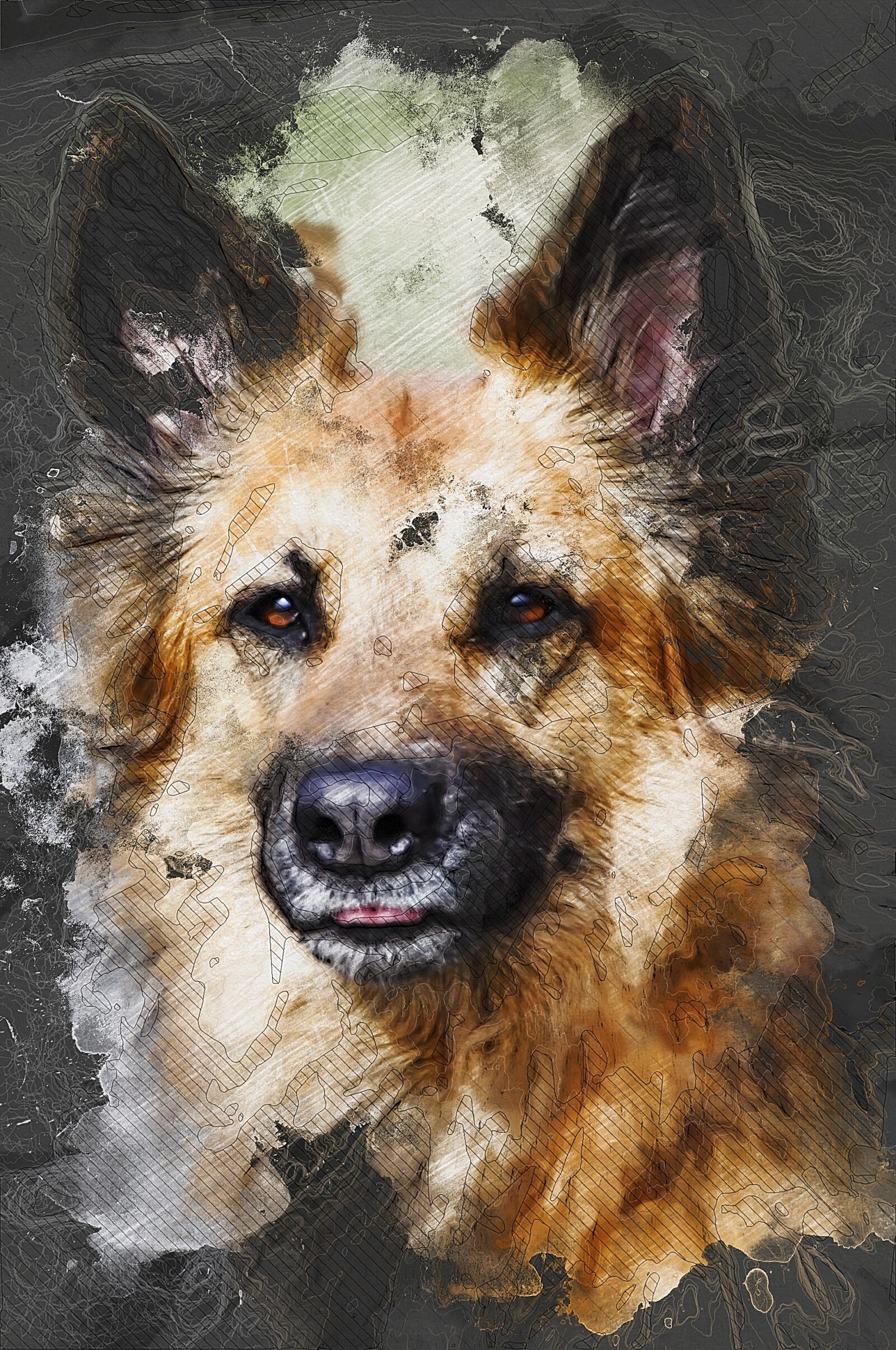 Nikon D90 sample photo. Dog, hybrid, brown photography