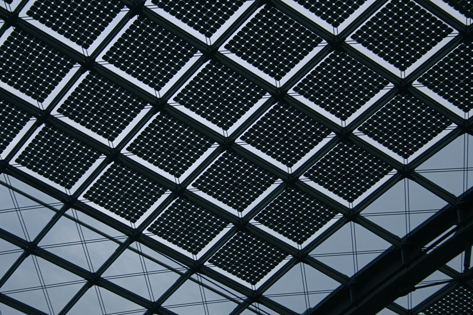 Canon EOS 350D (EOS Digital Rebel XT / EOS Kiss Digital N) sample photo. Pattern, silhouette, grid photography