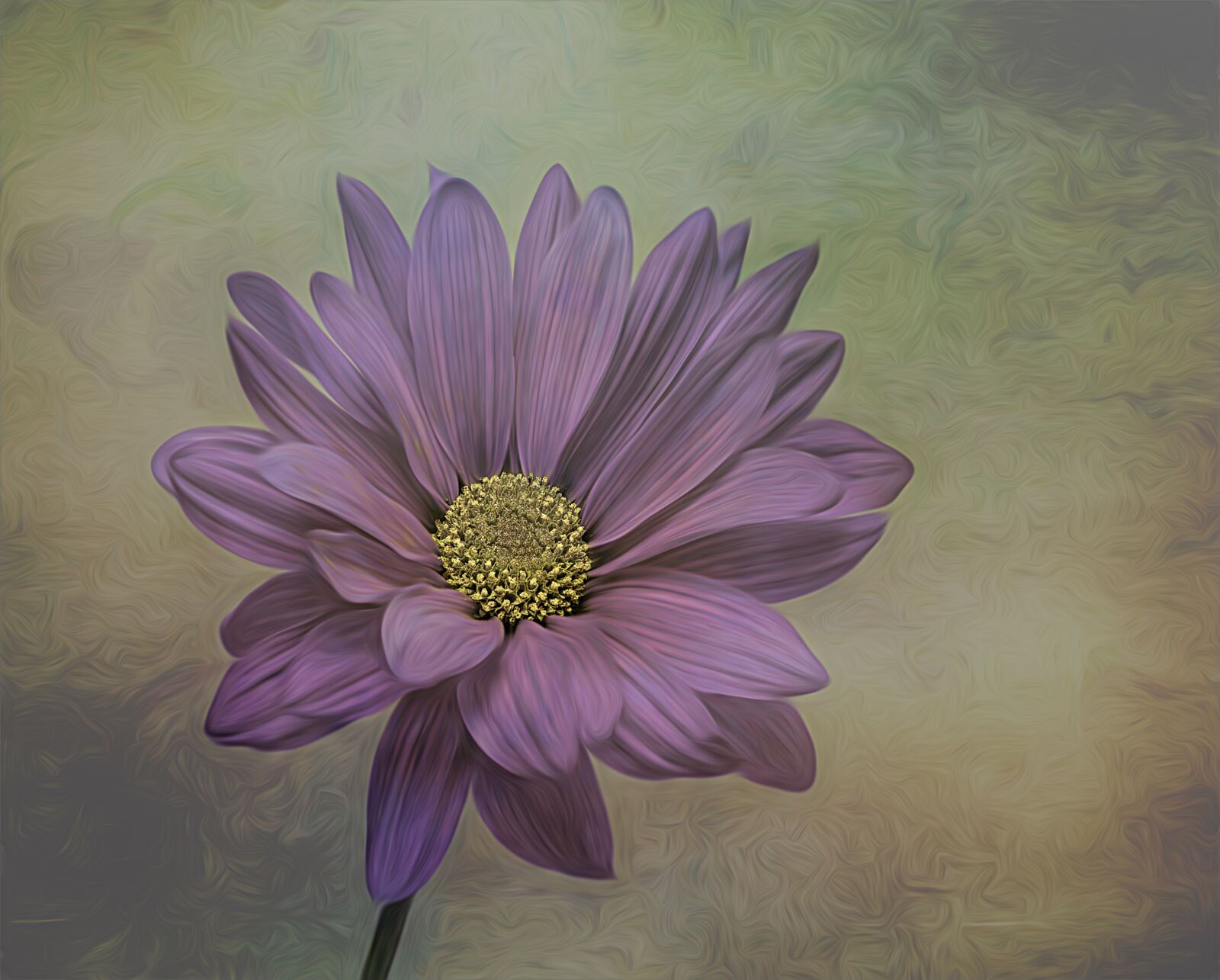 Canon EF 100mm F2.8L Macro IS USM sample photo. Flower, purple, nature photography