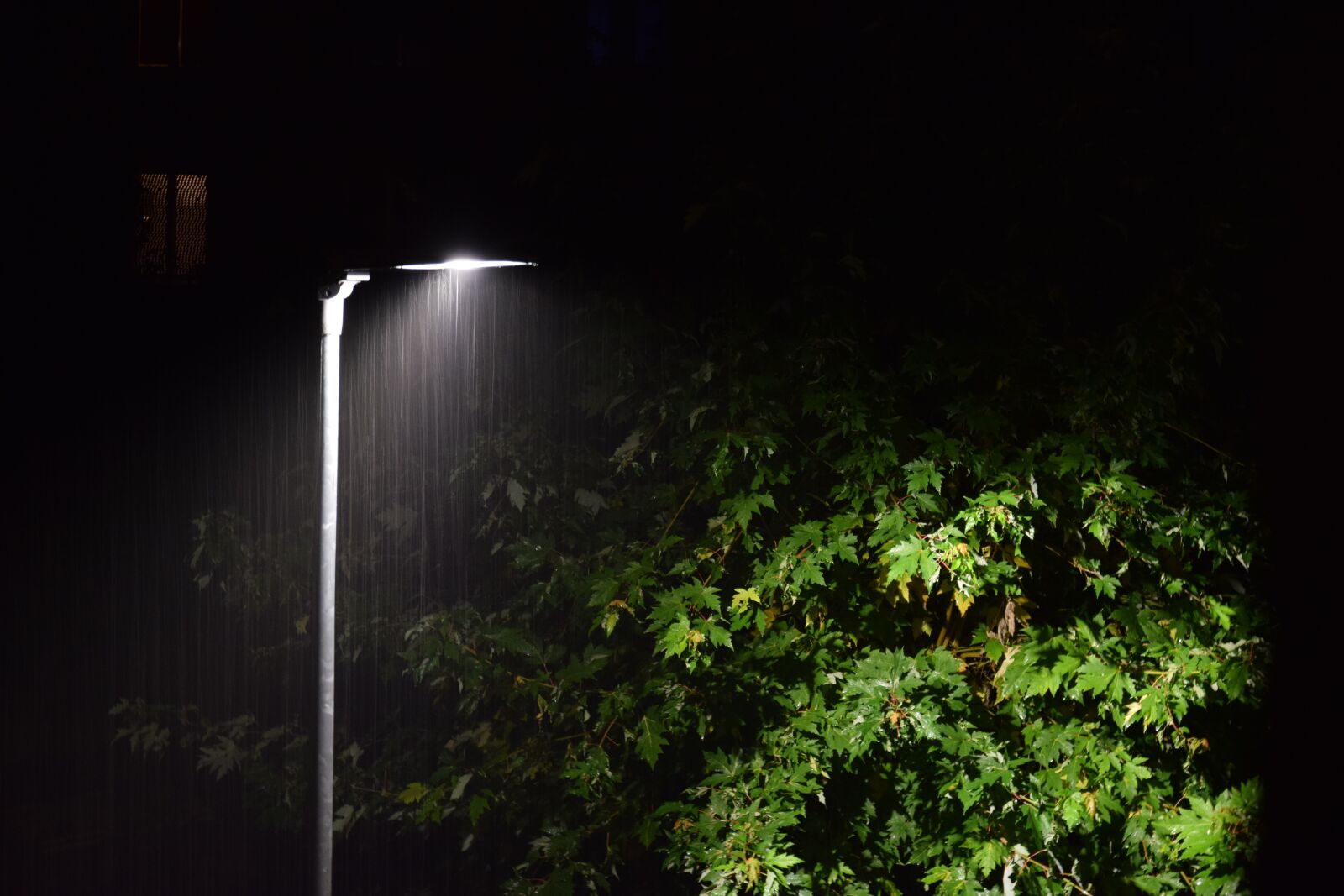 Nikon D3300 sample photo. Rain, lantern, tree photography