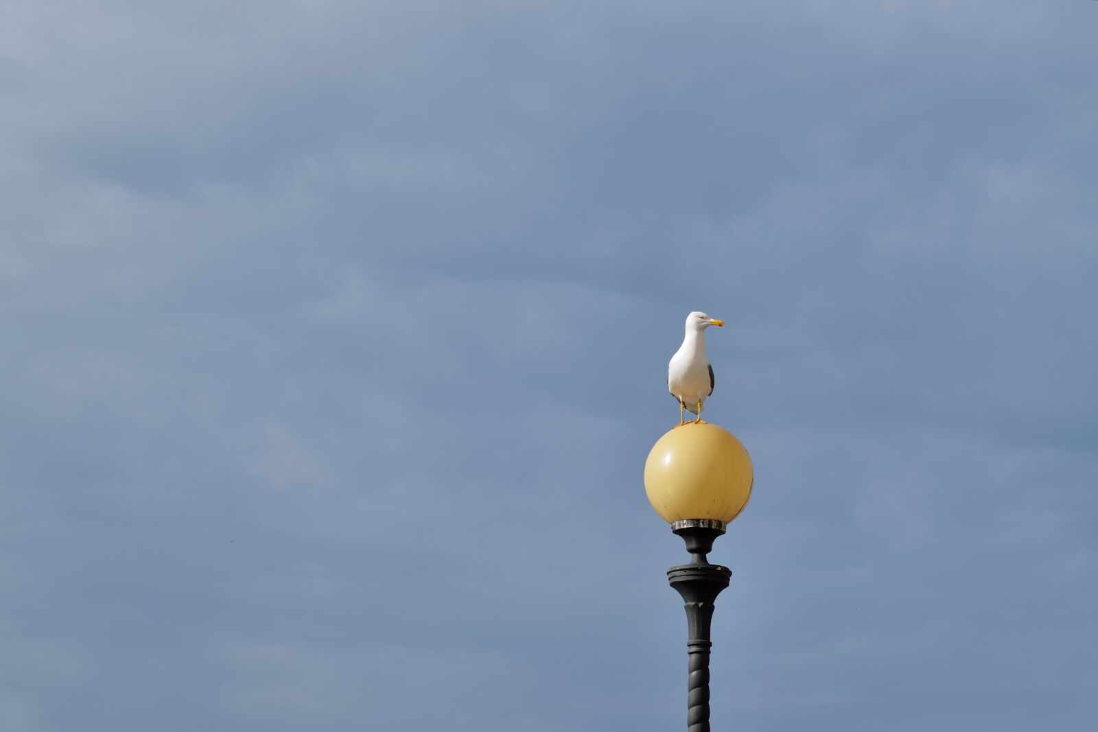 Nikon D3300 sample photo. Leghorn, landscape, views photography