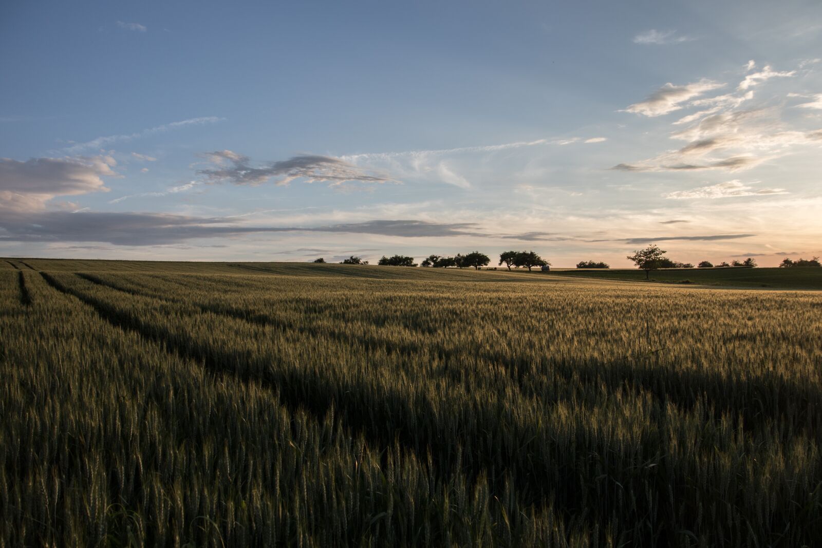 Canon EOS 7D Mark II sample photo. Landscape, summer, nature photography