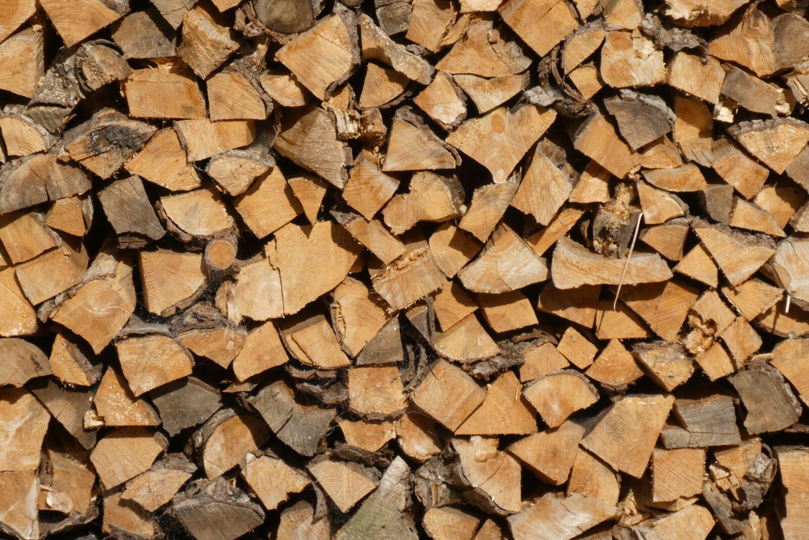 Panasonic Lumix DC-ZS70 (Lumix DC-TZ90) sample photo. Wood pile, wood, firewood photography
