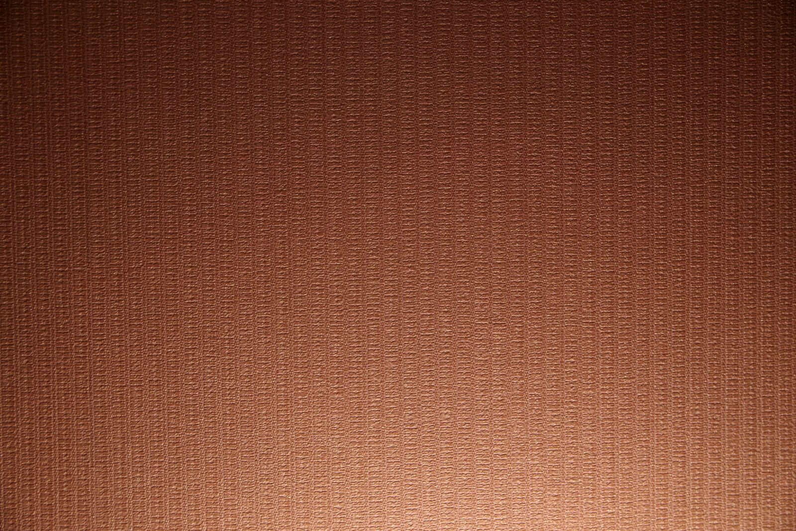 Pentax K-S2 sample photo. Model, web, the background photography