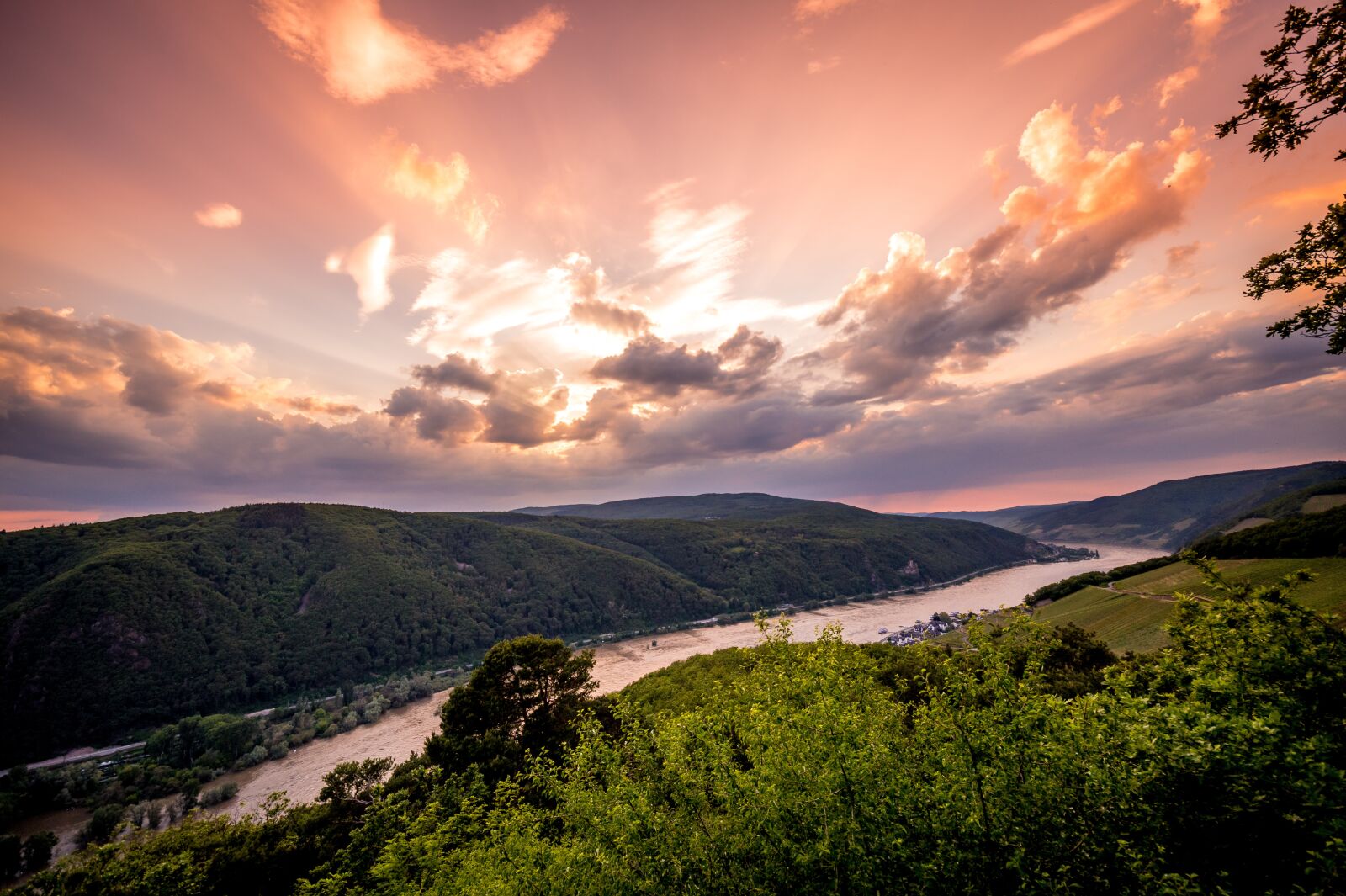 Nikon D850 sample photo. Rhine, assmannshausen, knight pulpit photography
