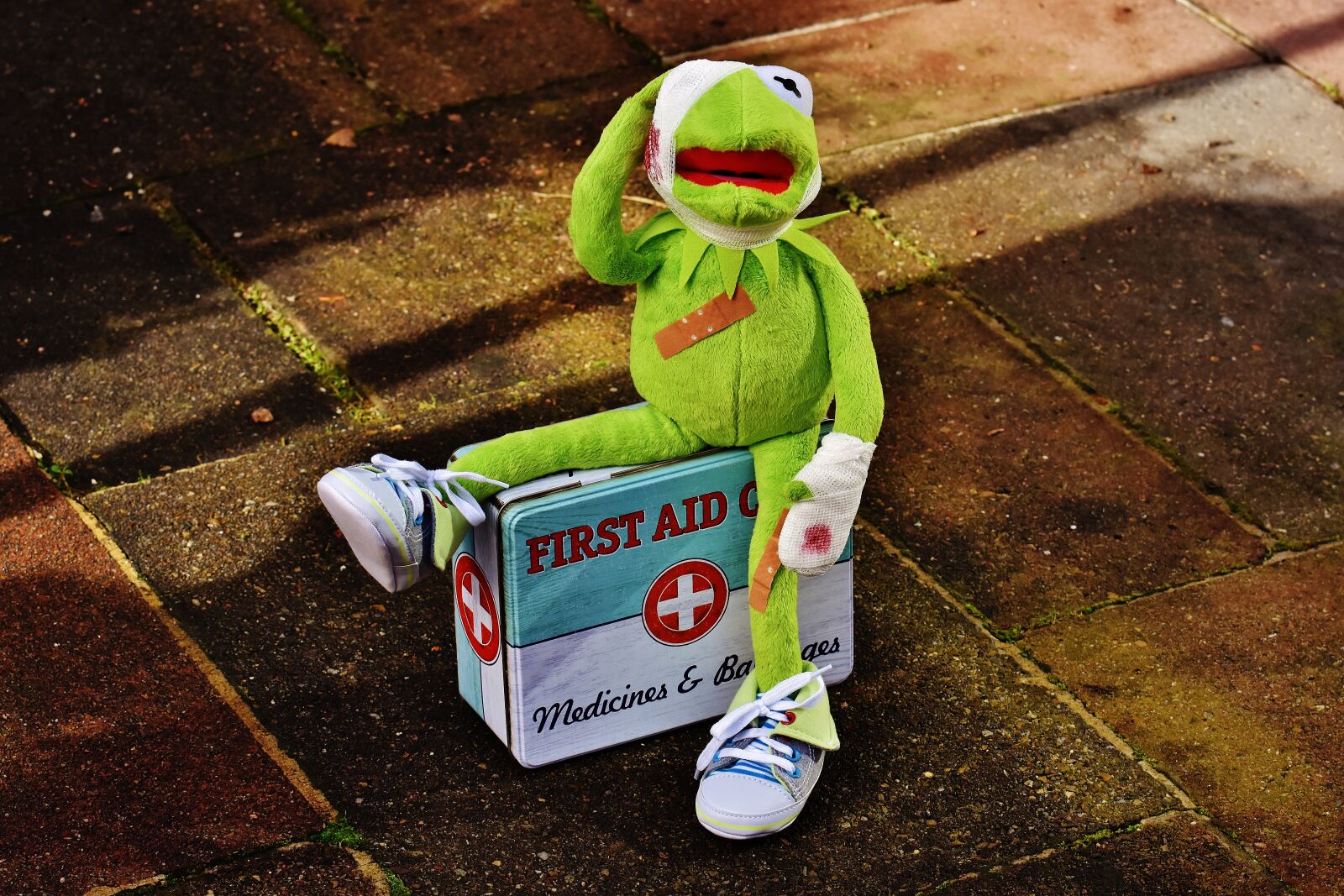Nikon D7200 sample photo. Kermit, first aid, injured photography