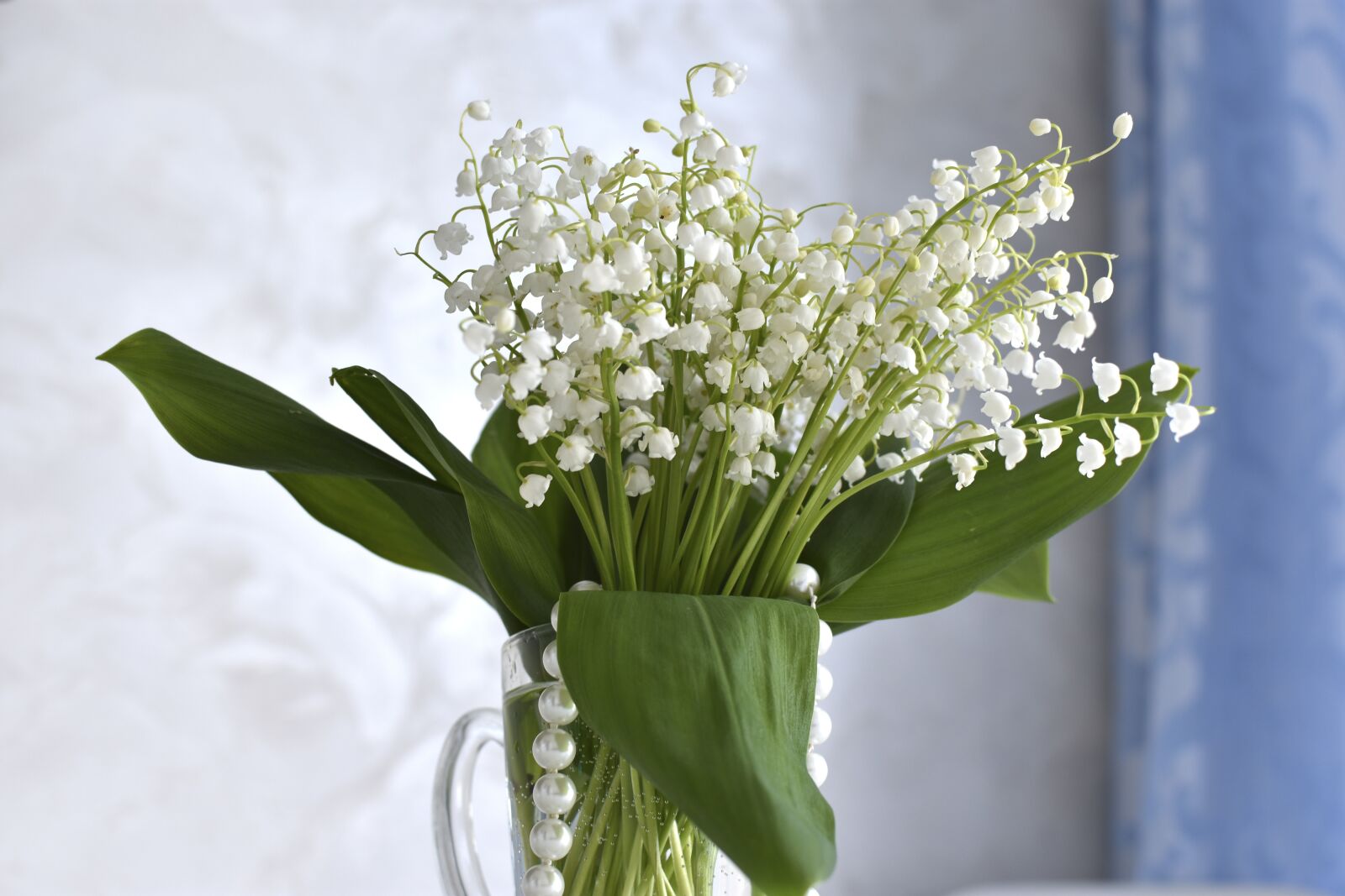 Nikon D3400 sample photo. Lilies of the valley photography