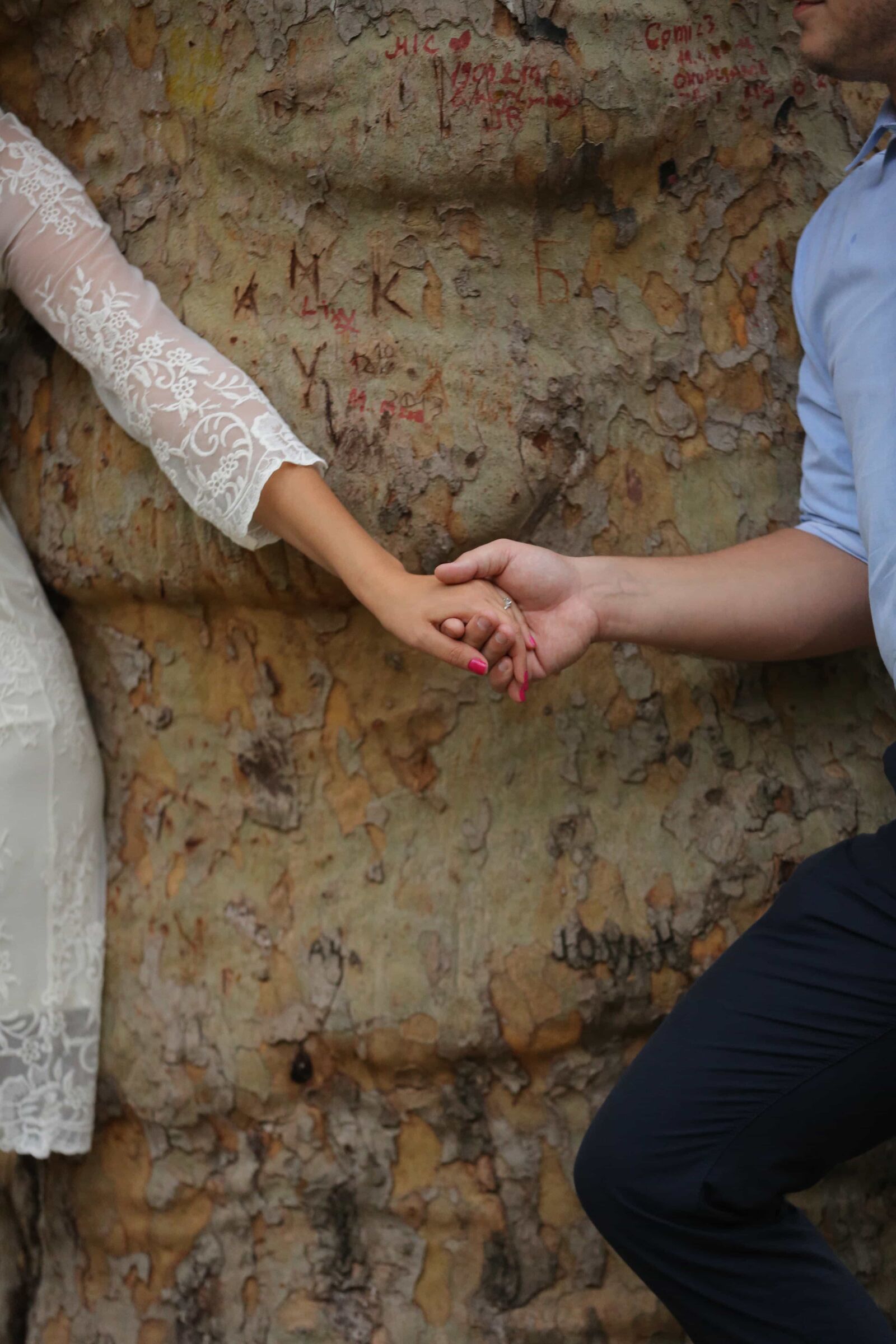 Canon EOS 5D Mark III sample photo. Bark, hands, happiness, joy photography