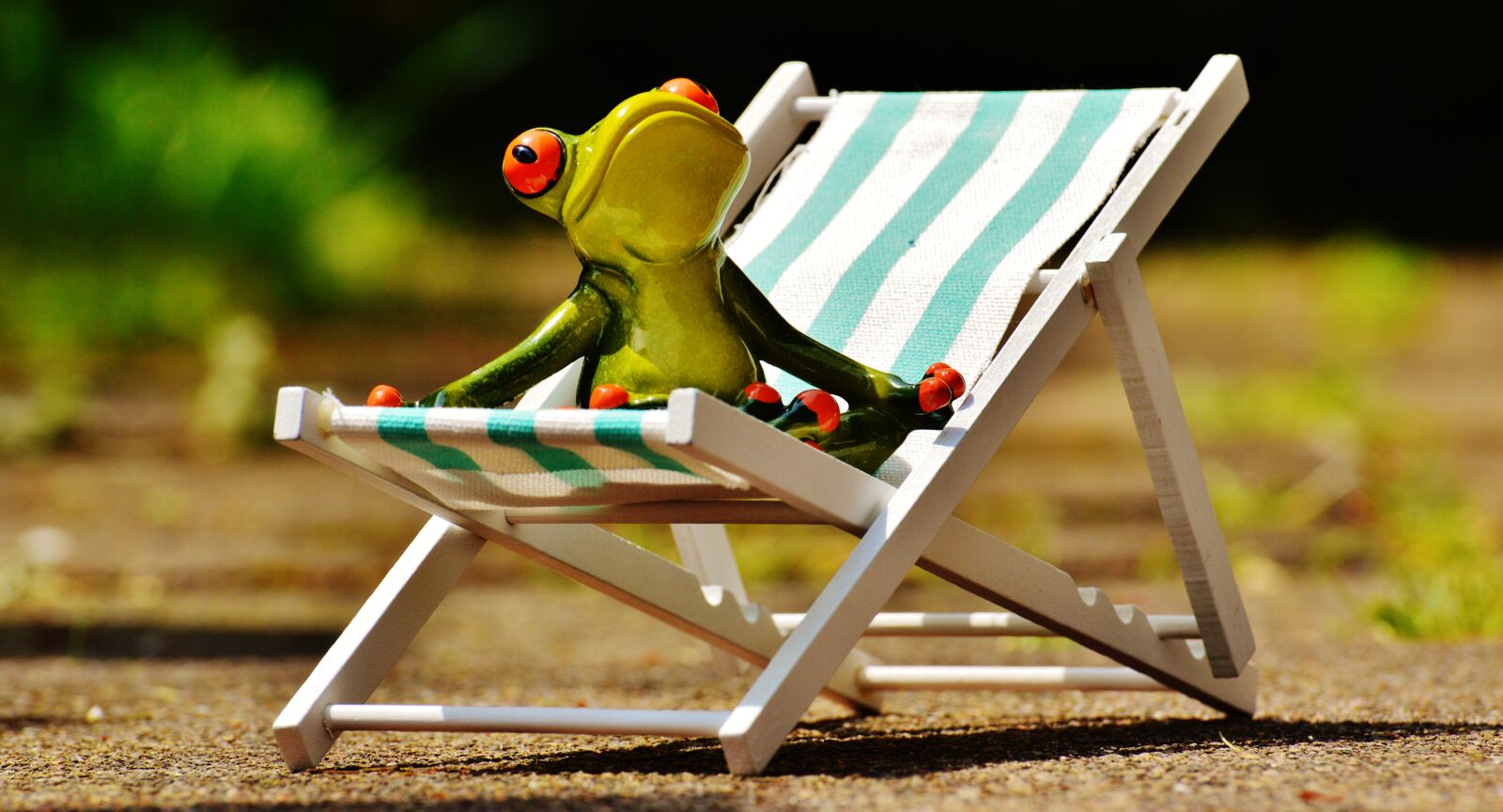 Nikon D3200 sample photo. Deck chair, beach, frog photography