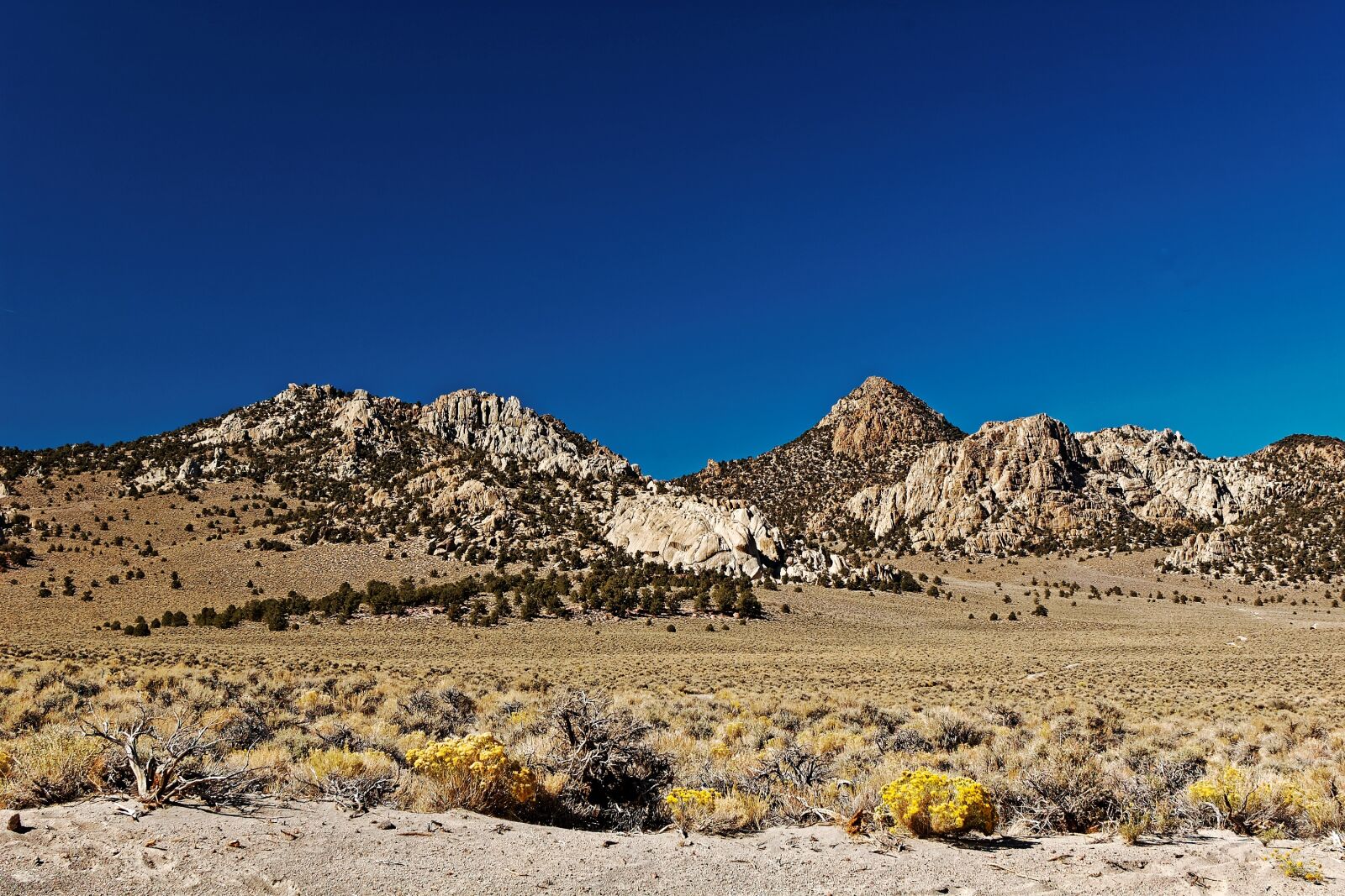 Nikon D50 sample photo. Desert, landscape, california photography