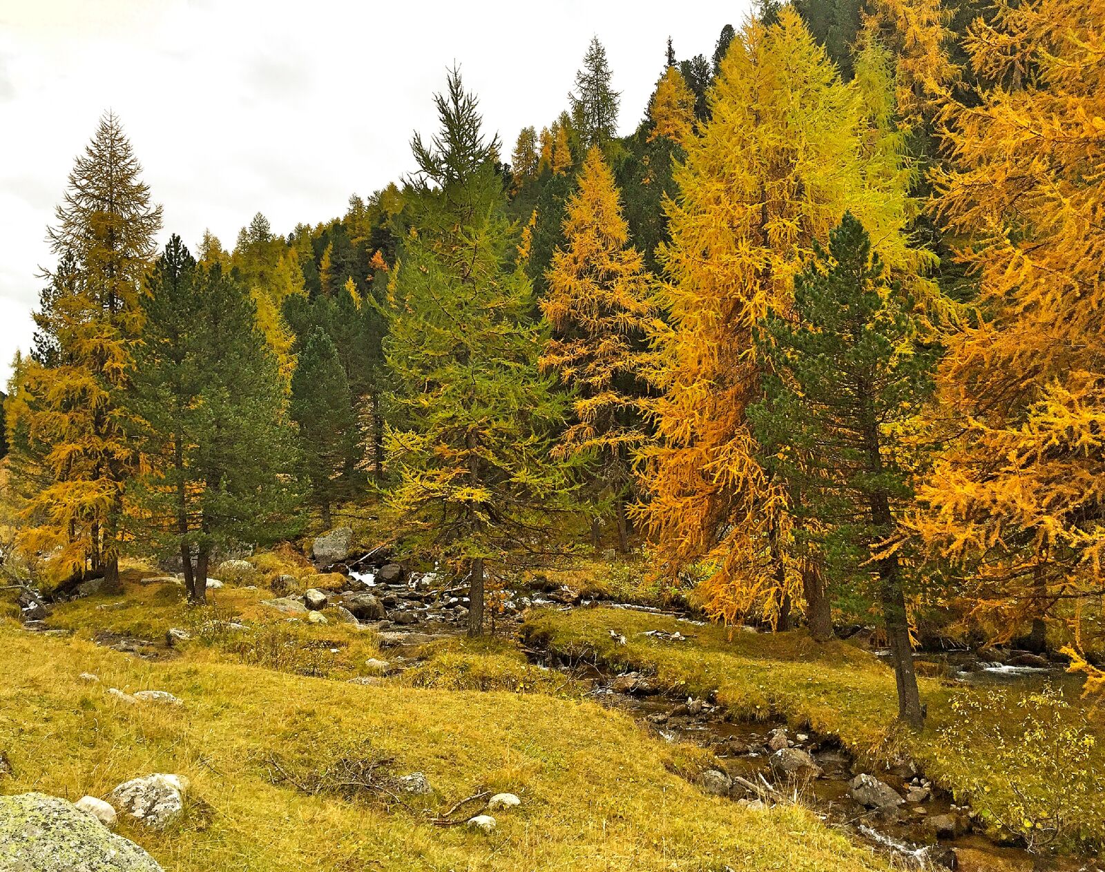 iPhone 6 back camera 4.15mm f/2.2 sample photo. Autumn, indian summer, golden photography