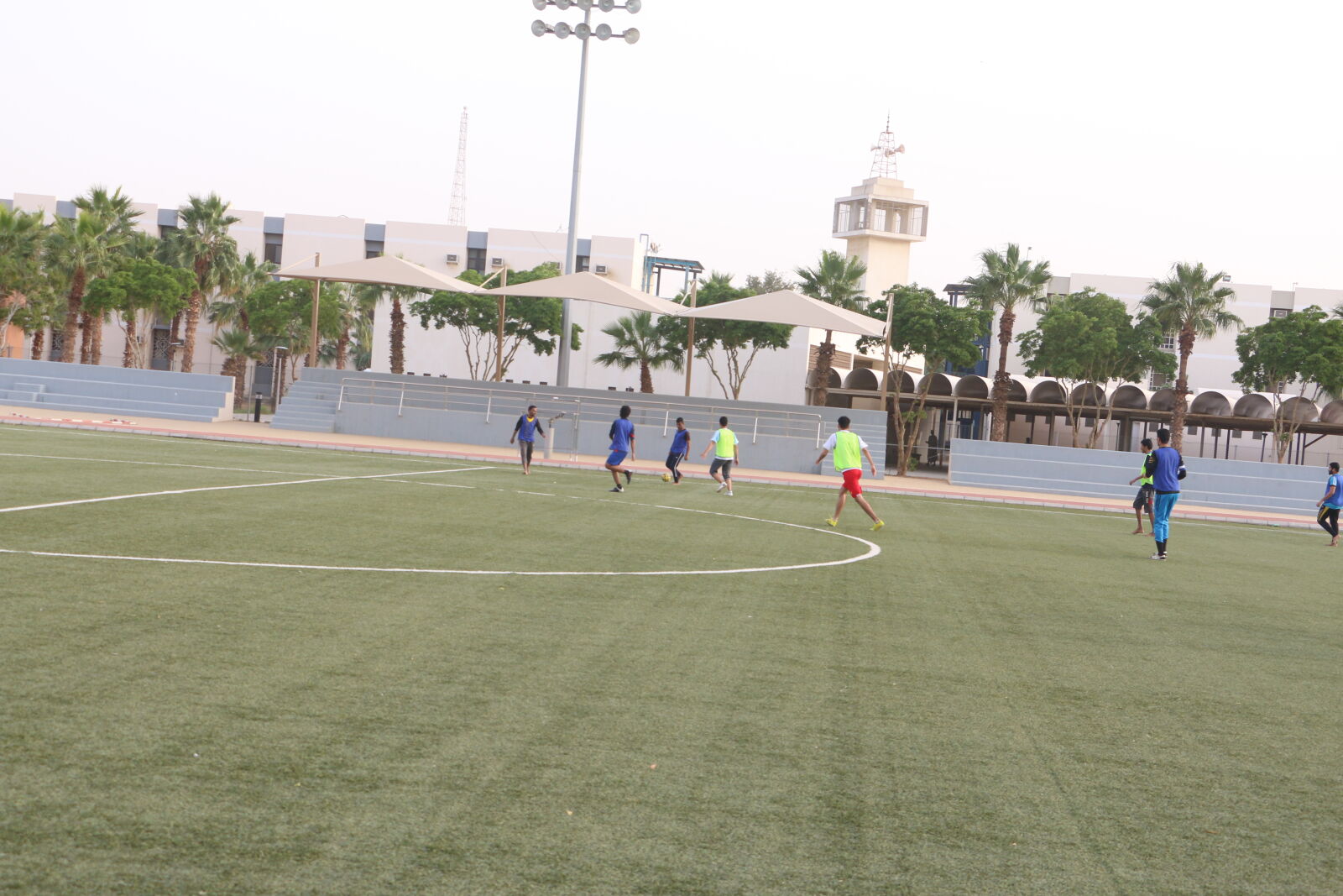 Canon EOS 70D sample photo