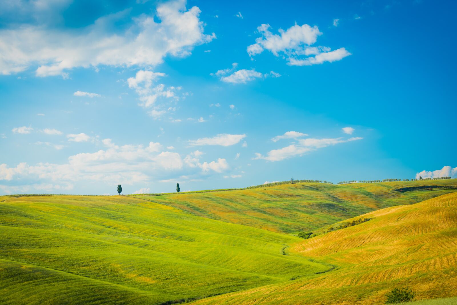 Nikon D750 sample photo. Panorama, field, sky photography