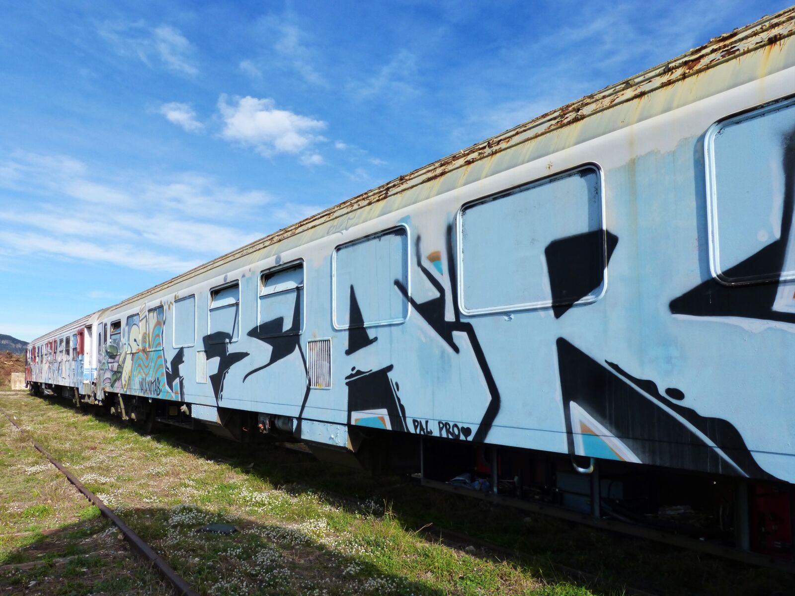 Panasonic DMC-FZ62 sample photo. Train, wagon, vandalism photography